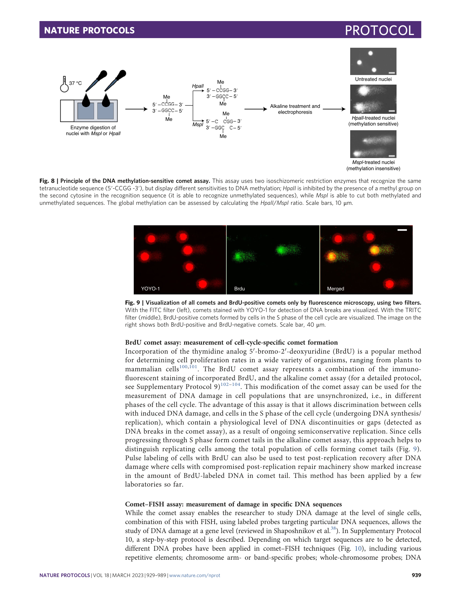 page-11