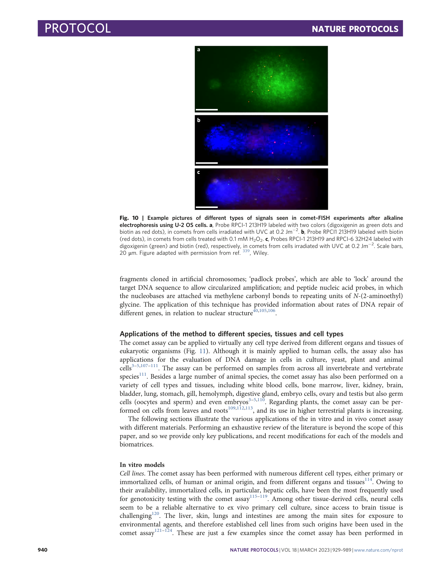 page-12