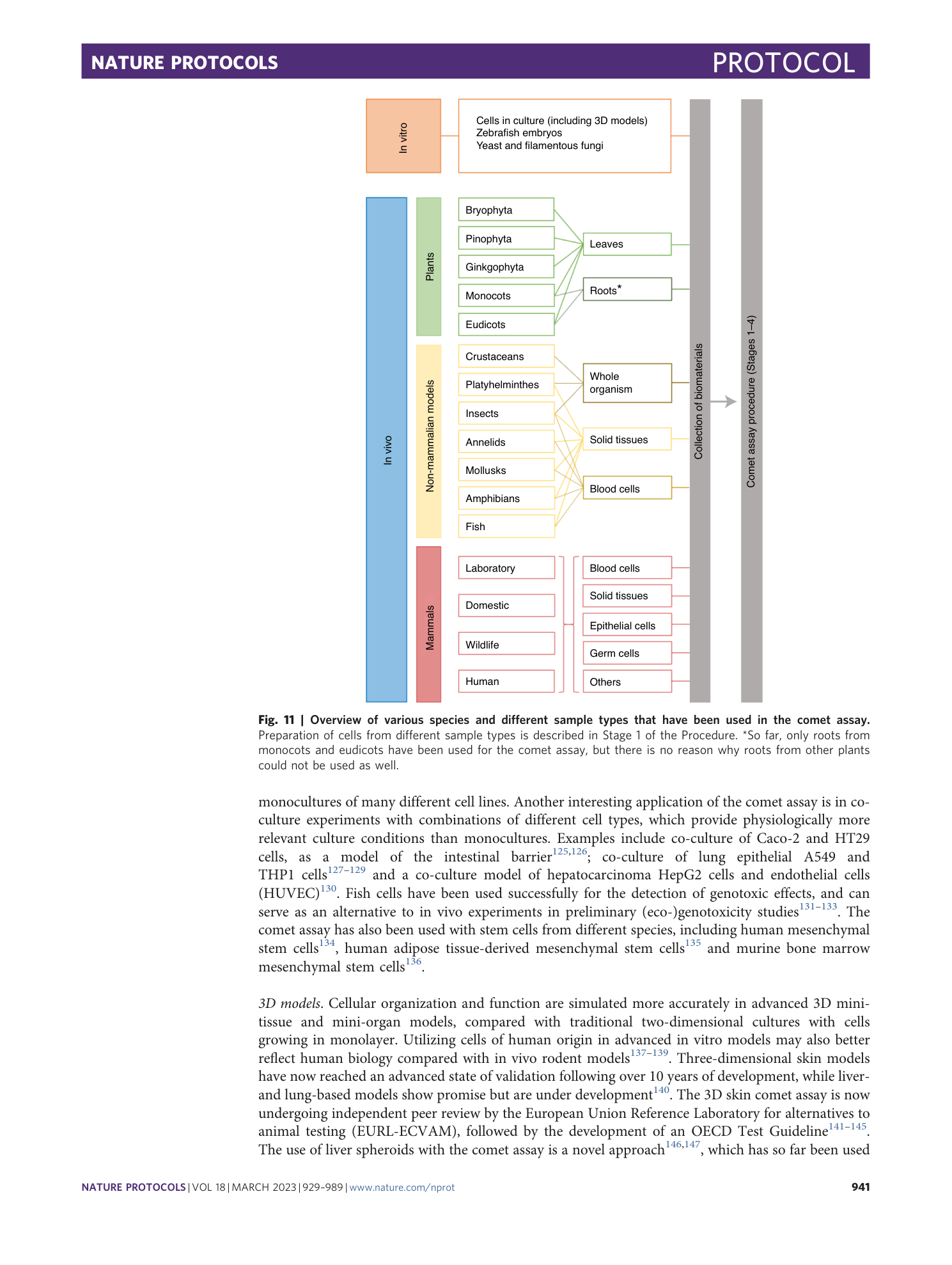 page-13
