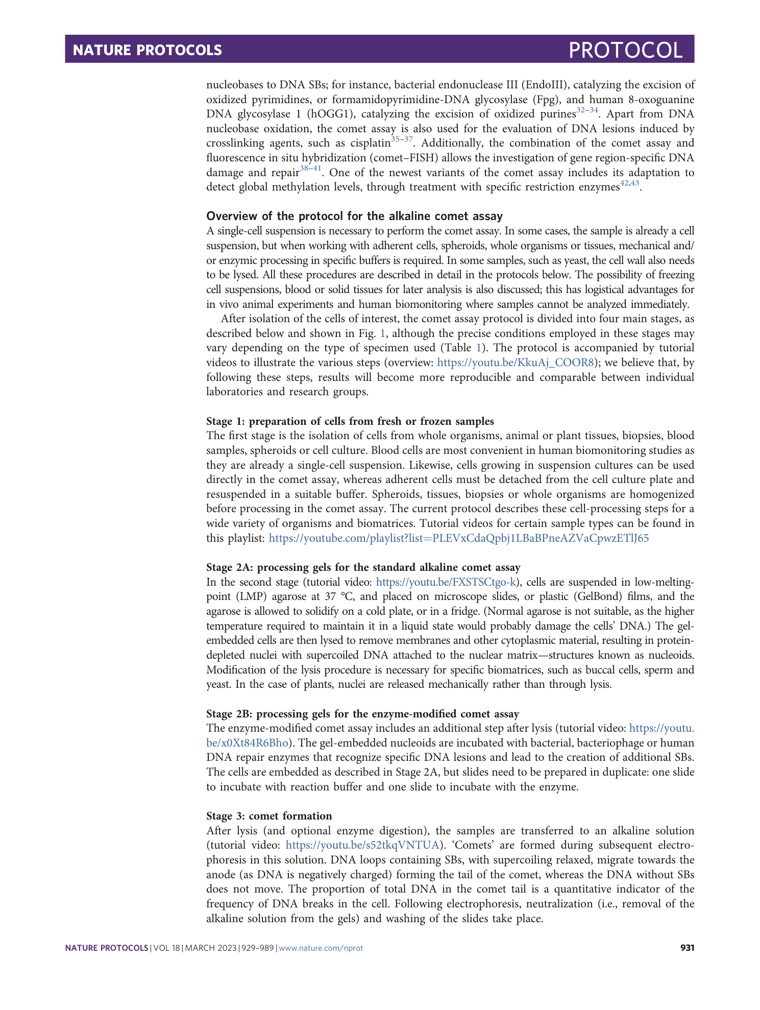 page-3