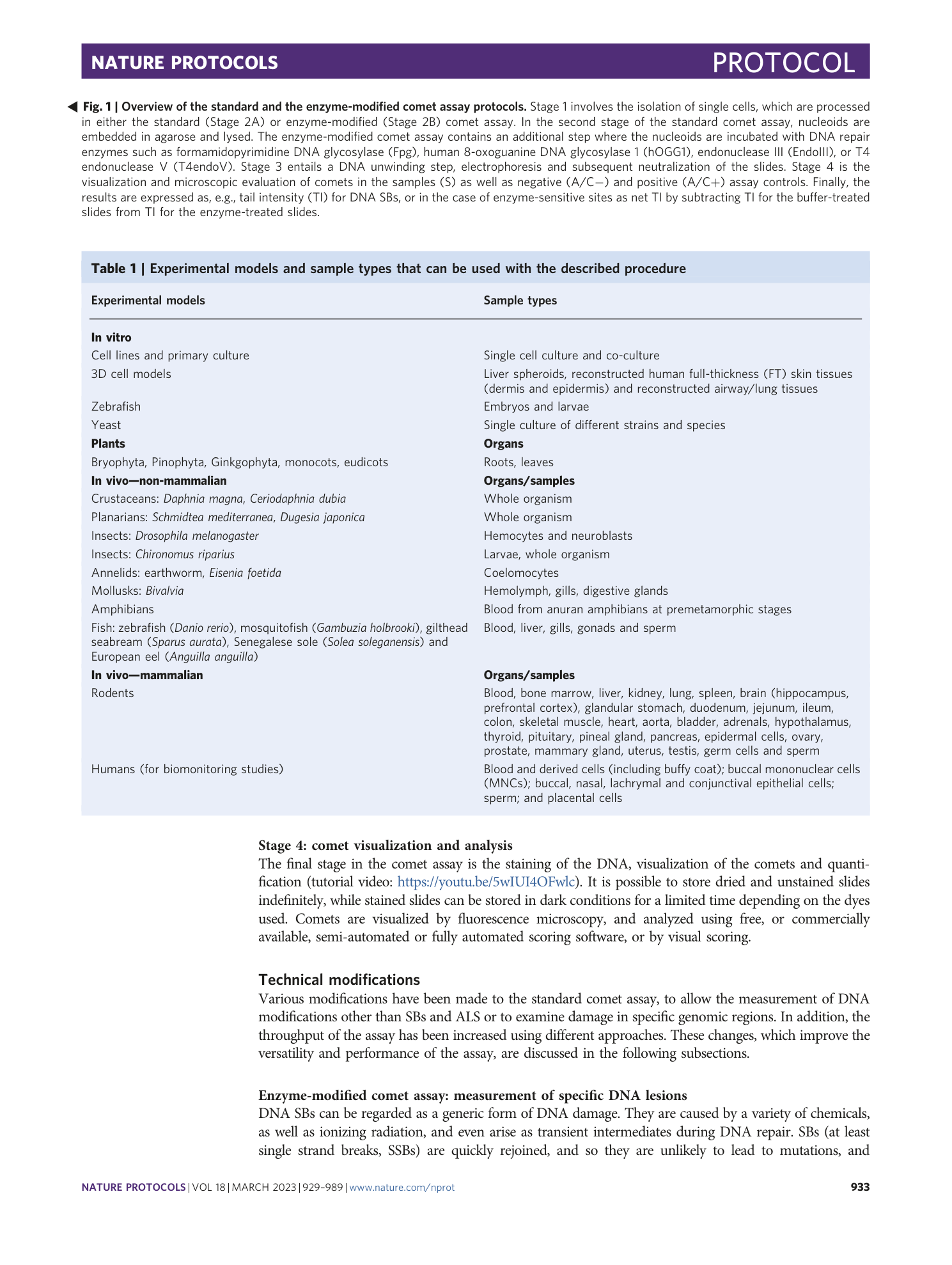 page-5