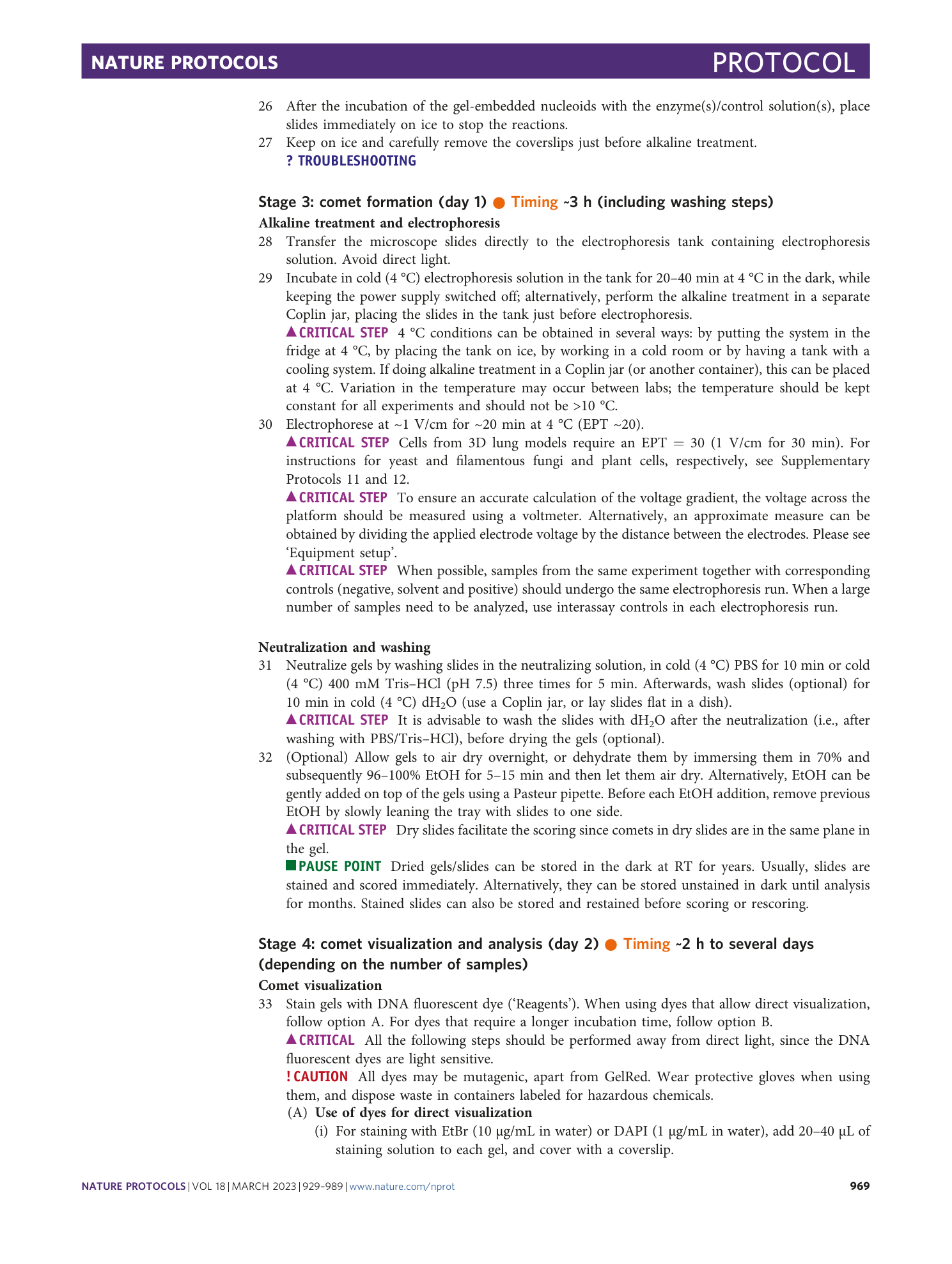 page-41