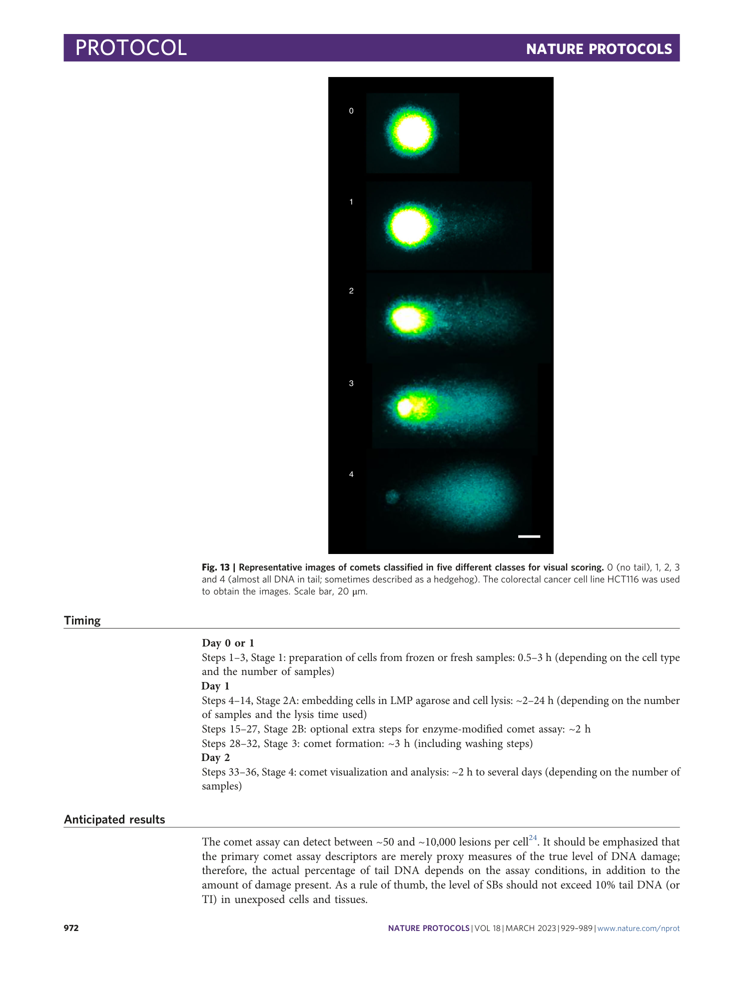 page-44
