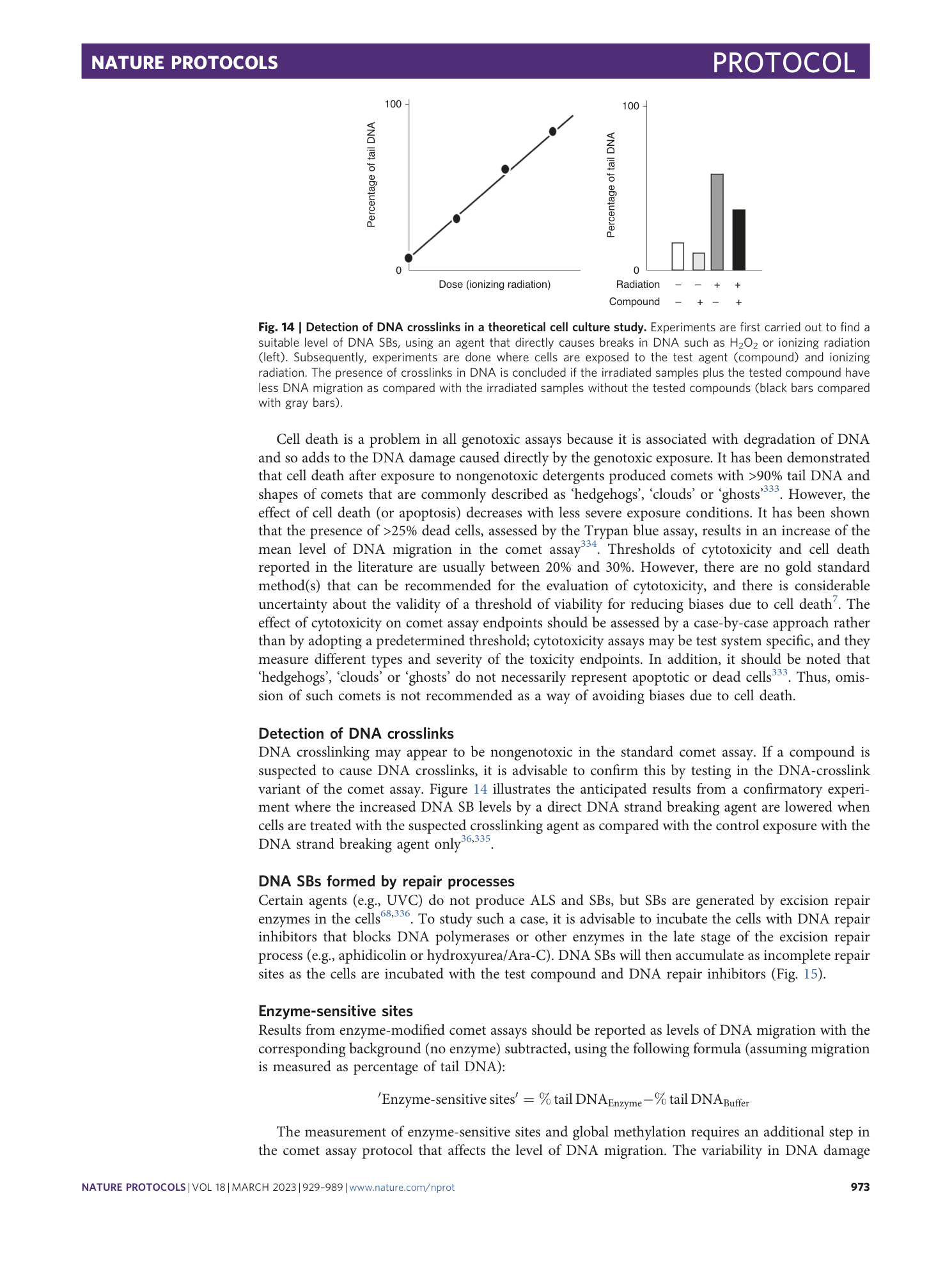 page-45