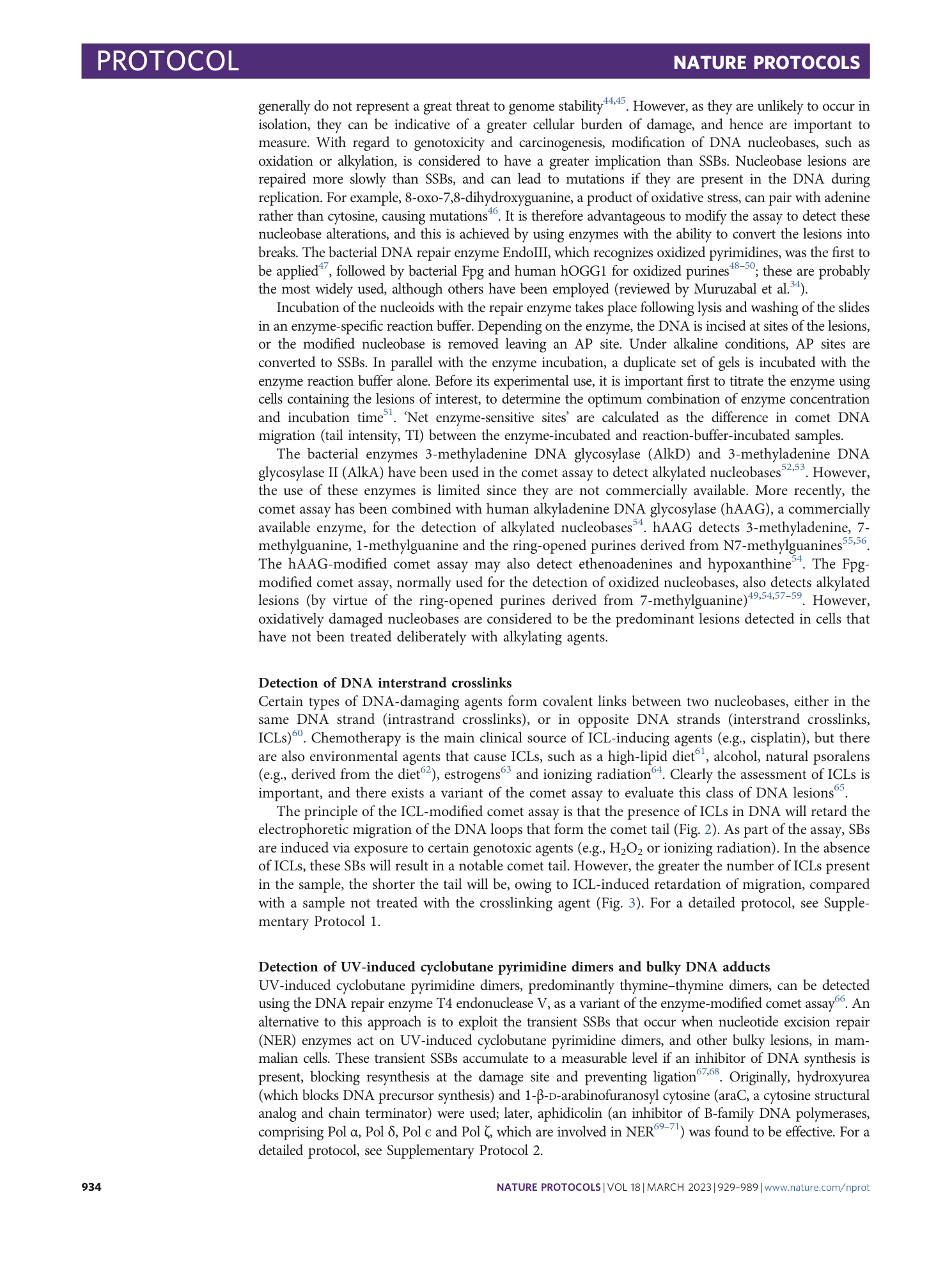 page-6
