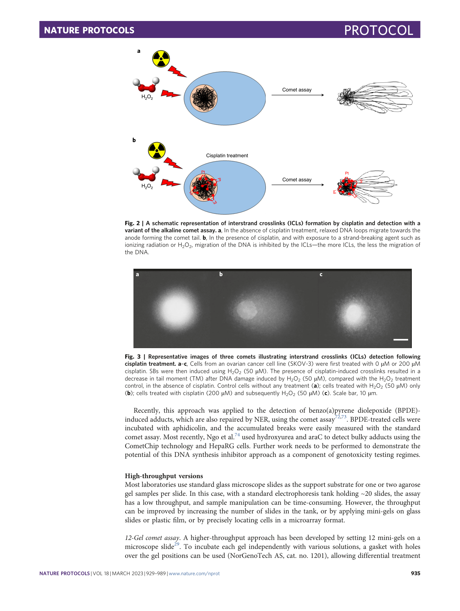 page-7