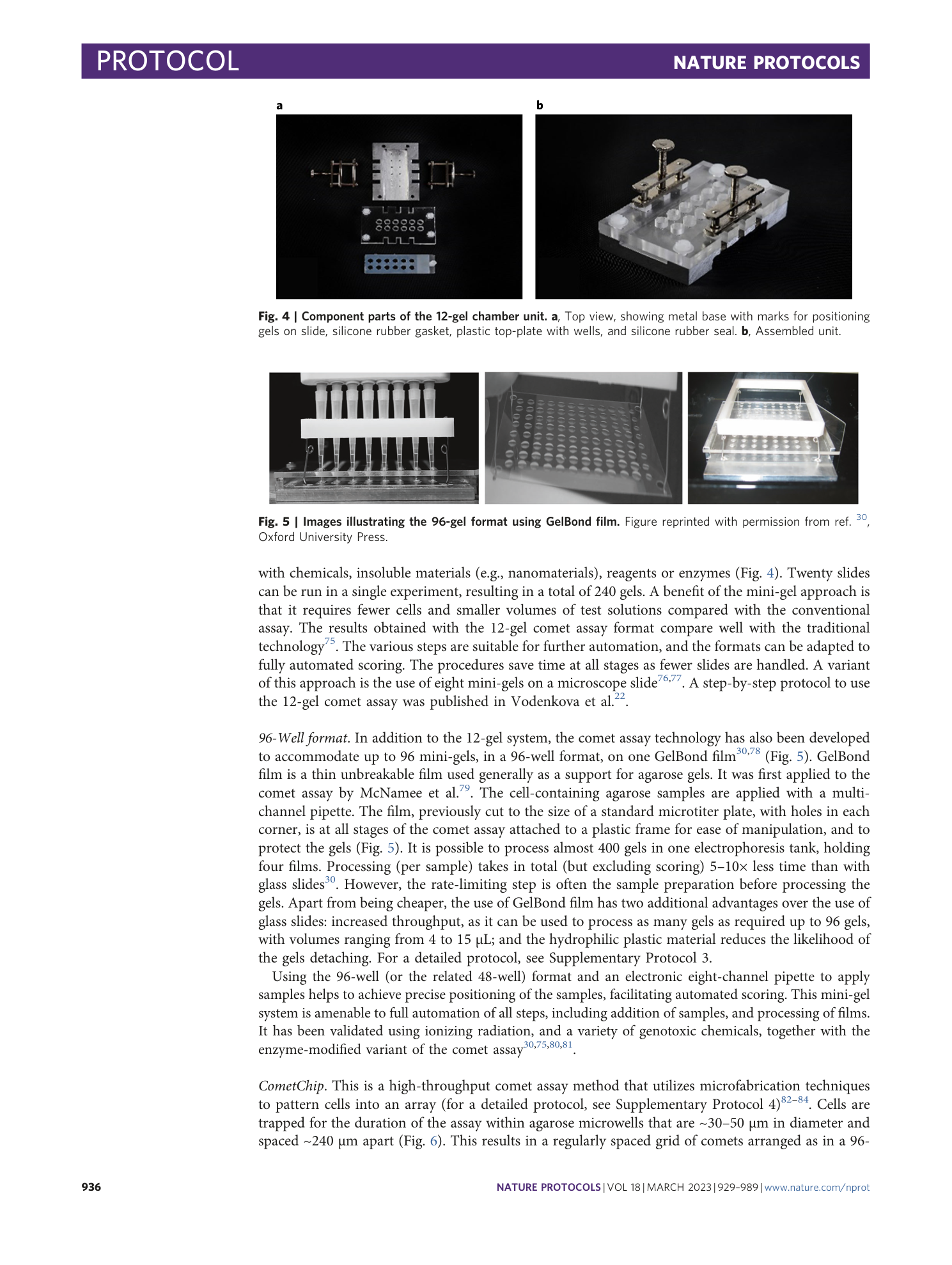 page-8
