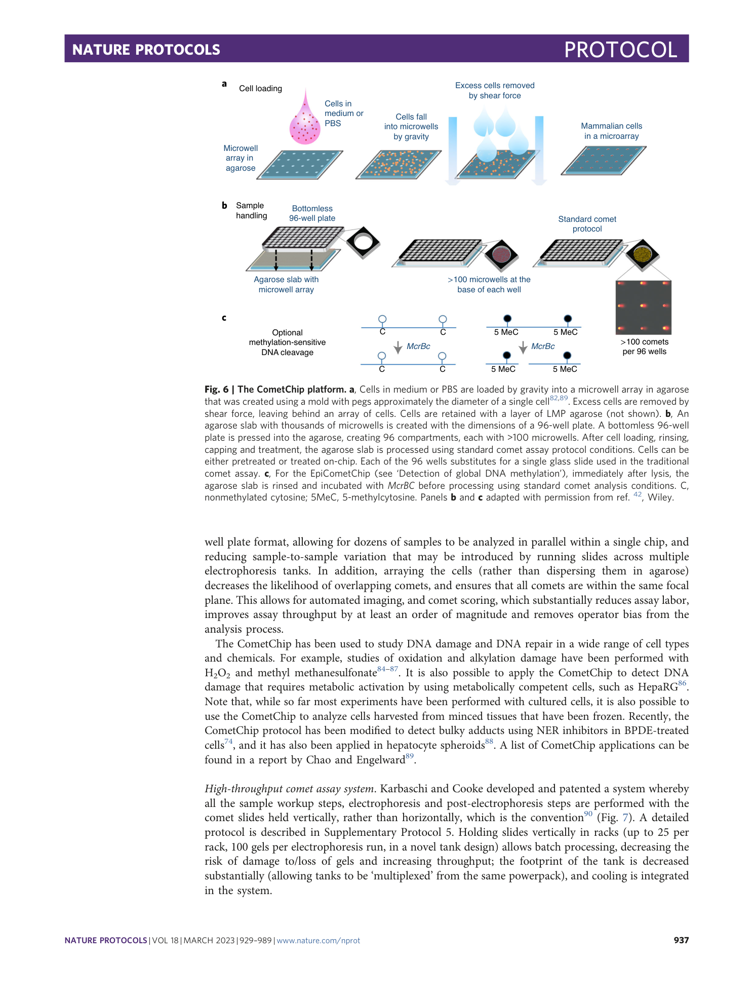page-9