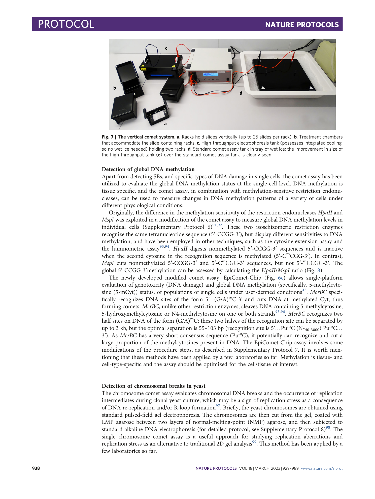 page-10