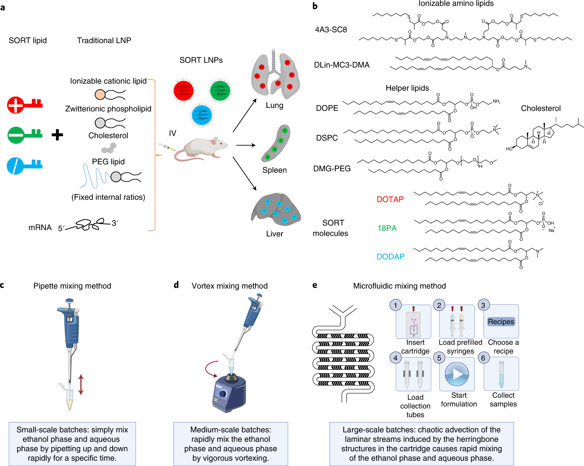 Fig. 1: Experimental design for preparation of liver, lung and spleen SORT LNPs.