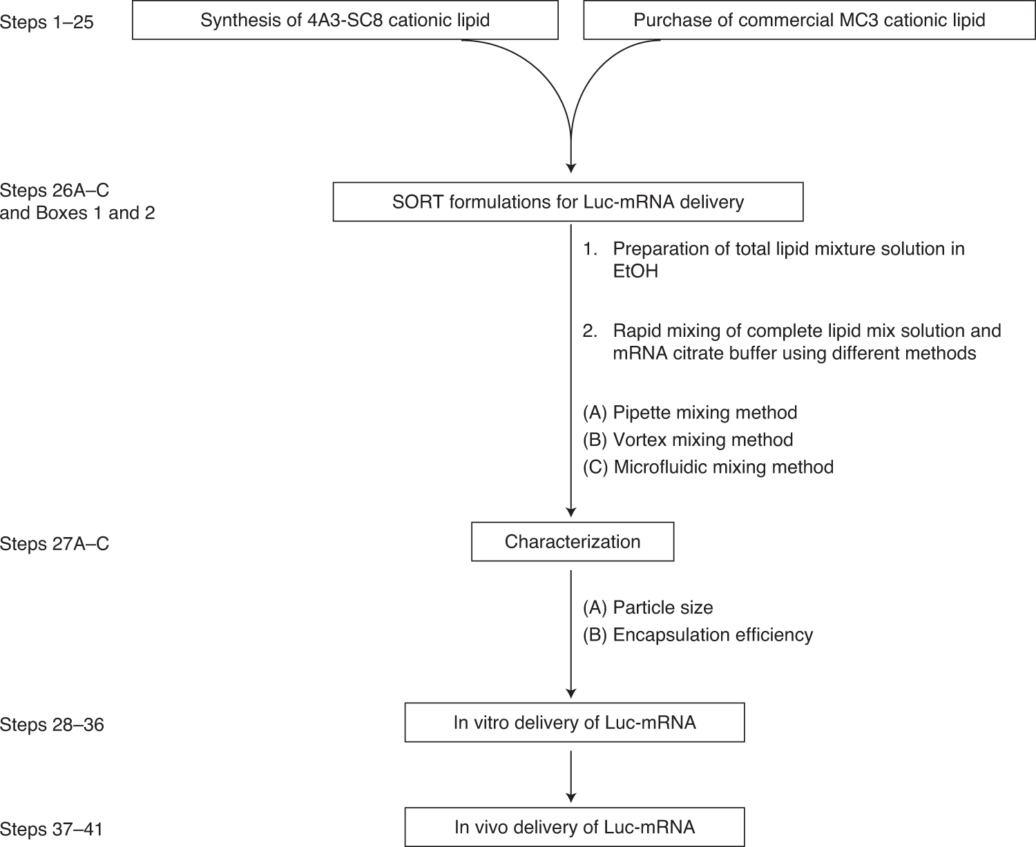Fig. 2: Flow chart of the general procedures.