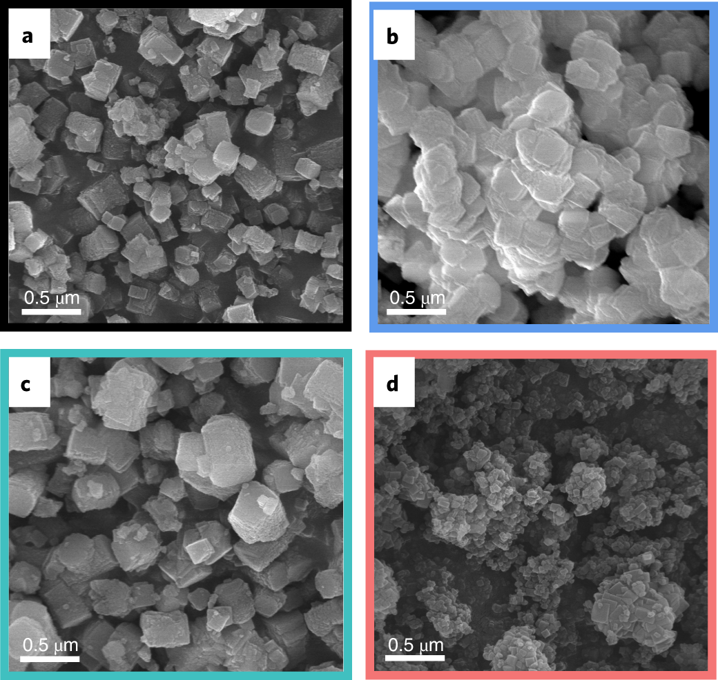 Fig. 12: SEM images of MOF-303.