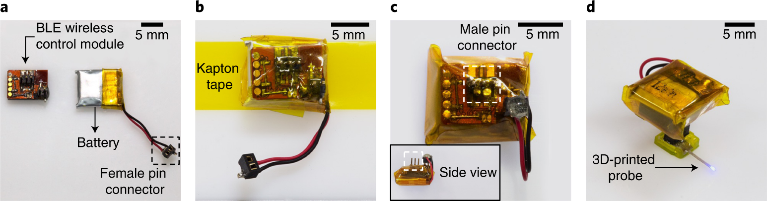 Fig. 4: Device integration with a BLE control module.