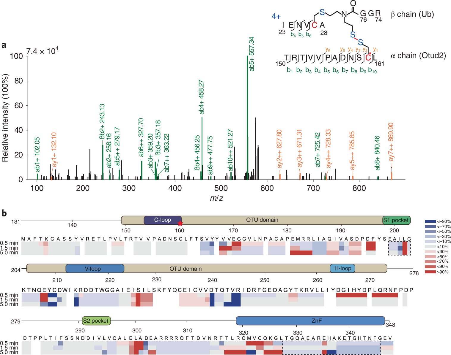 Fig. 6: Identification and HDX-MS application of Otud2-Ub-K27Ub.