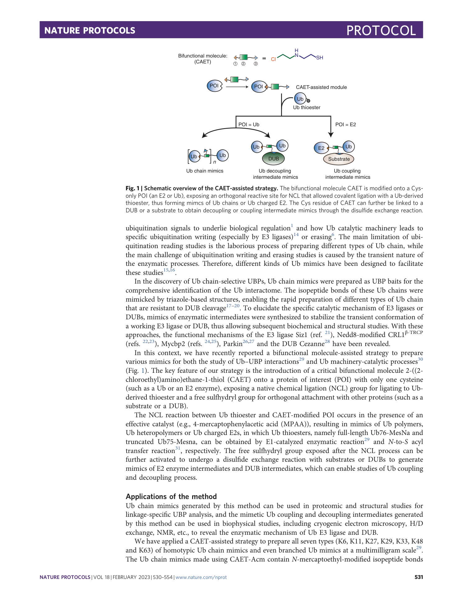 page-2