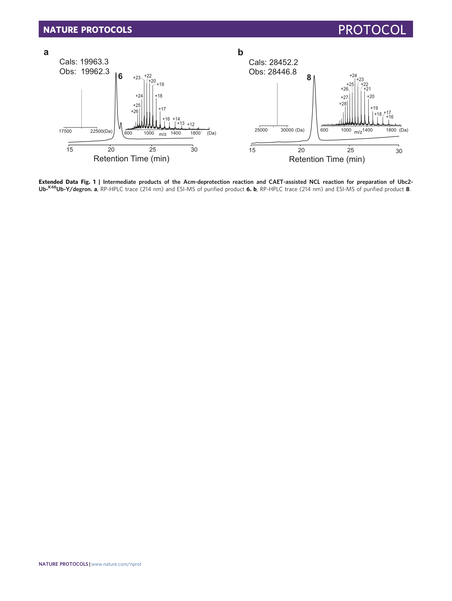 page-26