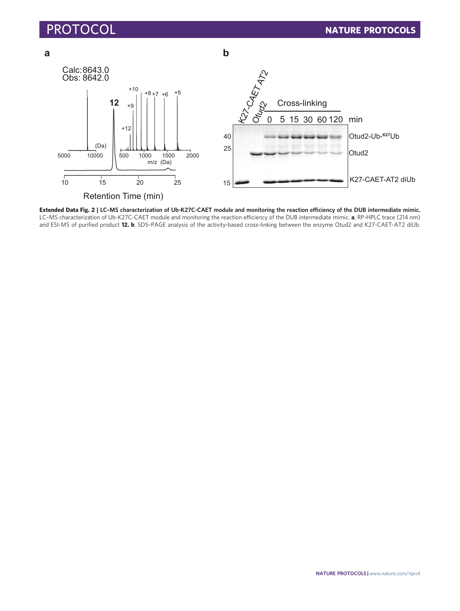 page-27