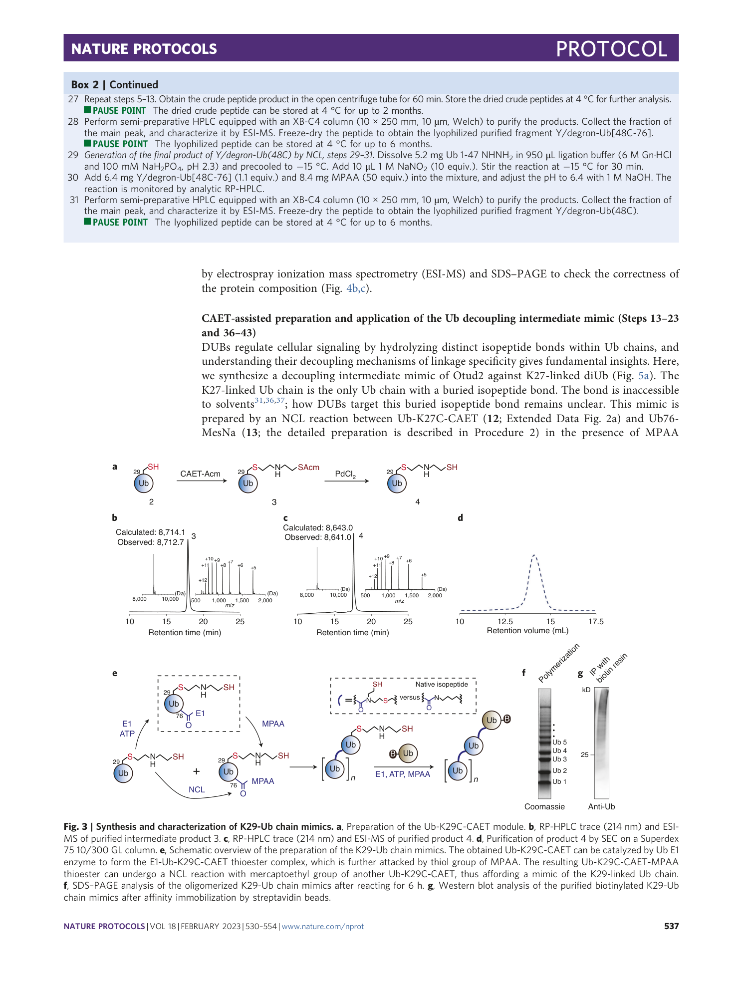 page-8