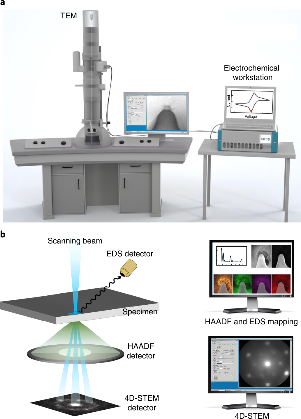 Fig. 7: Schematic illustration of the in situ TEM observation and post in situ characterizations.