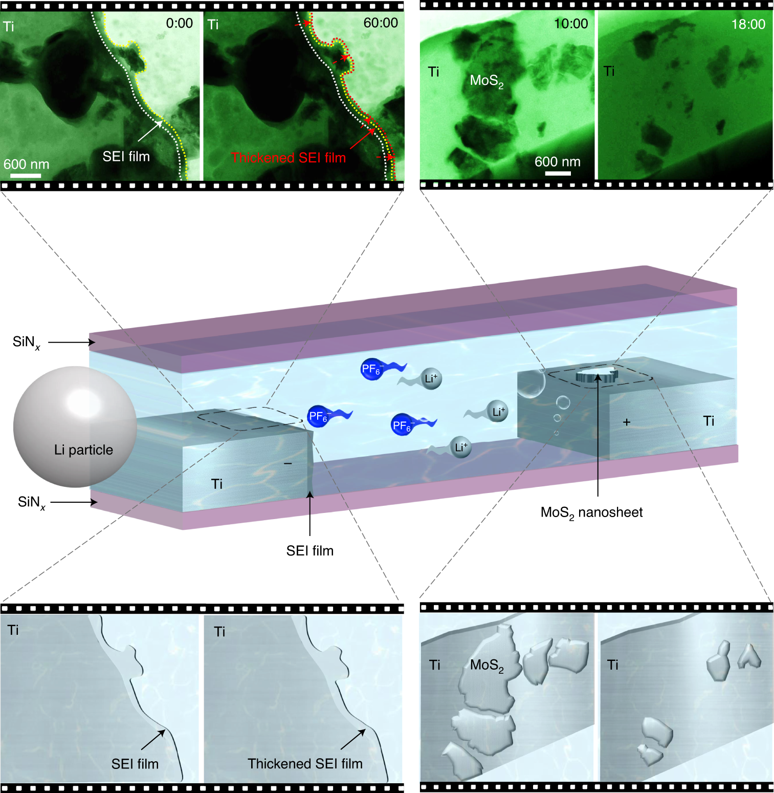 Fig. 9: In situ TEM observation of the lithiation and delithiation of MoS2 nanosheets by using E-cell II (titanium/MoS2 electrode, commercial LiPF6/EC/DEC electrolyte).