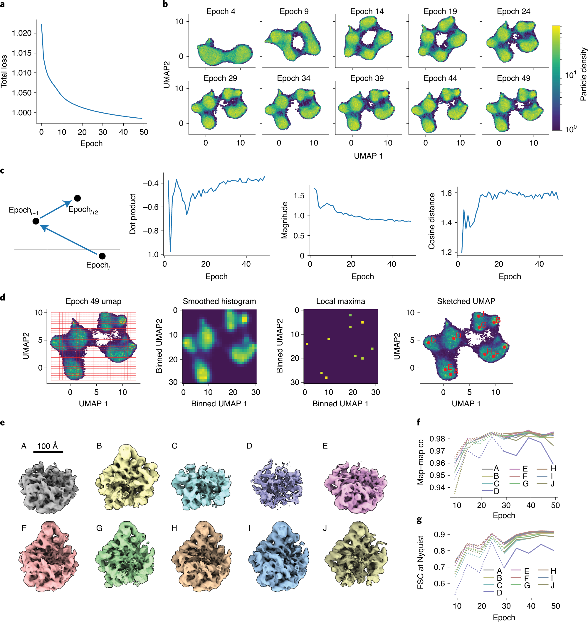 Fig. 2: Training and assessing convergence of cryoDRGN networks.
