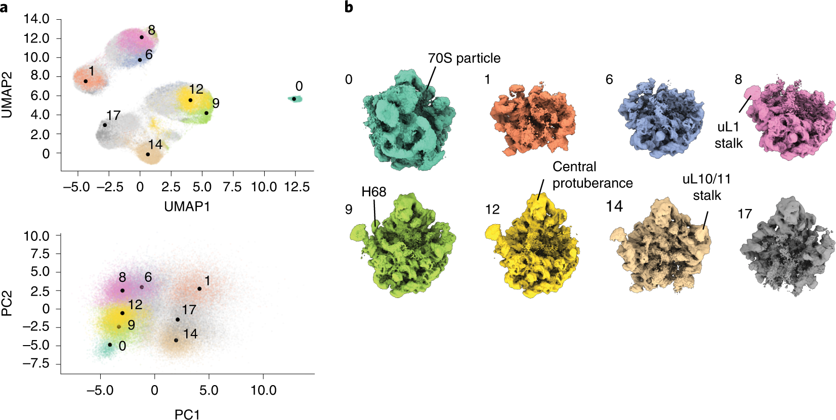 Fig. 4: Analysis of a cryoDRGN model trained on high-resolution particle images.