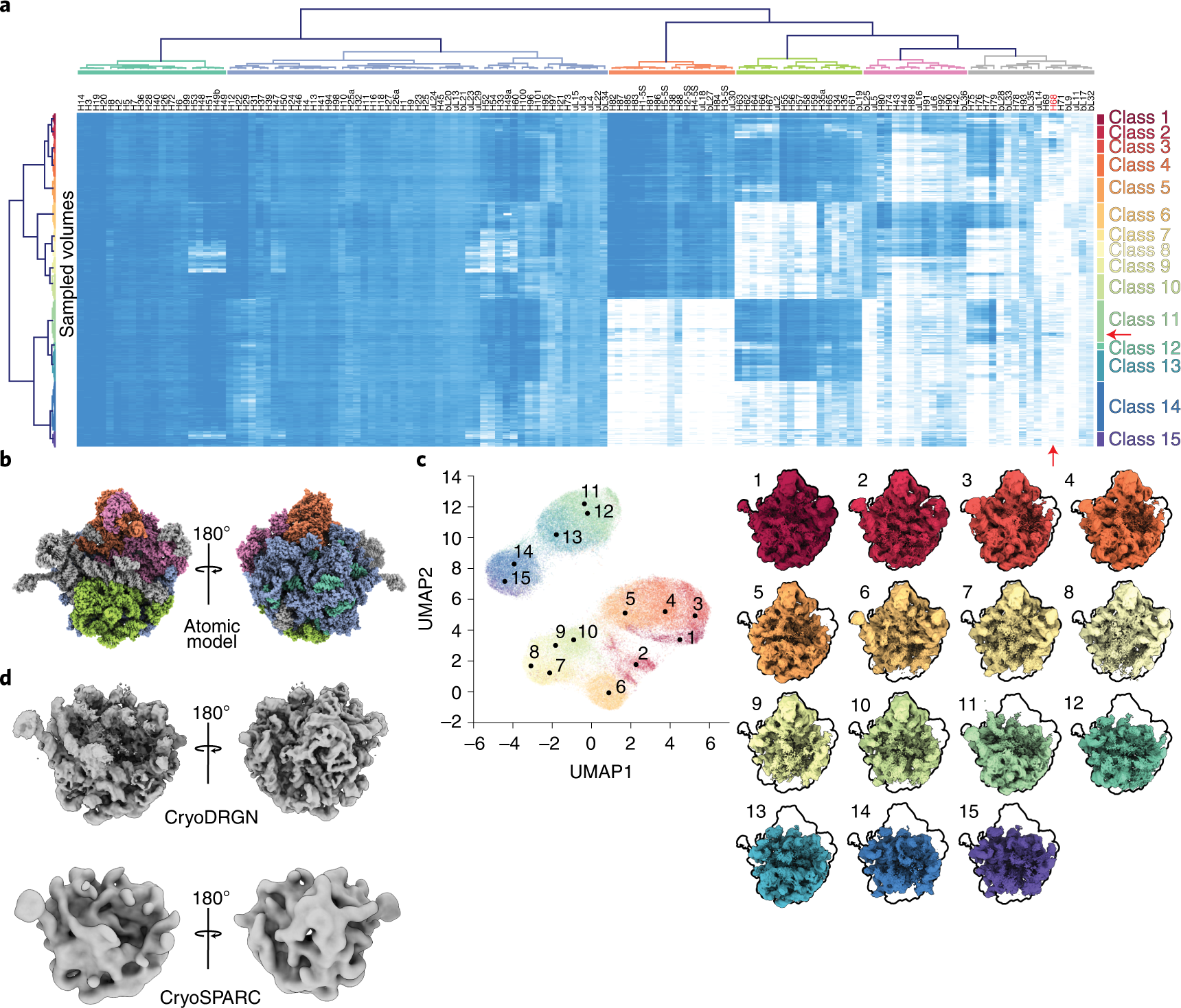 Fig. 5: Atomic model-based analysis of cryoDRGN-generated structural ensemble.