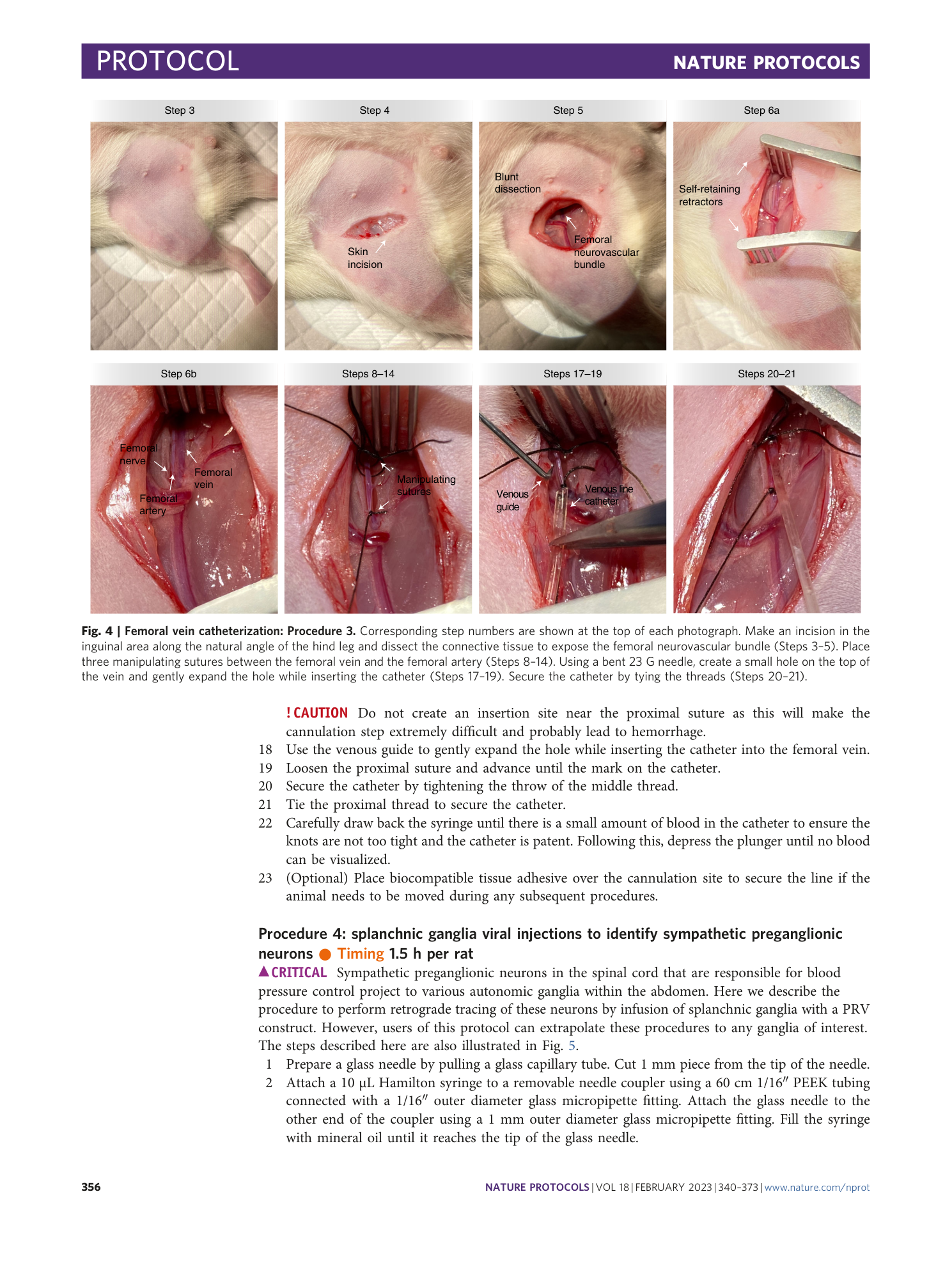 page-17