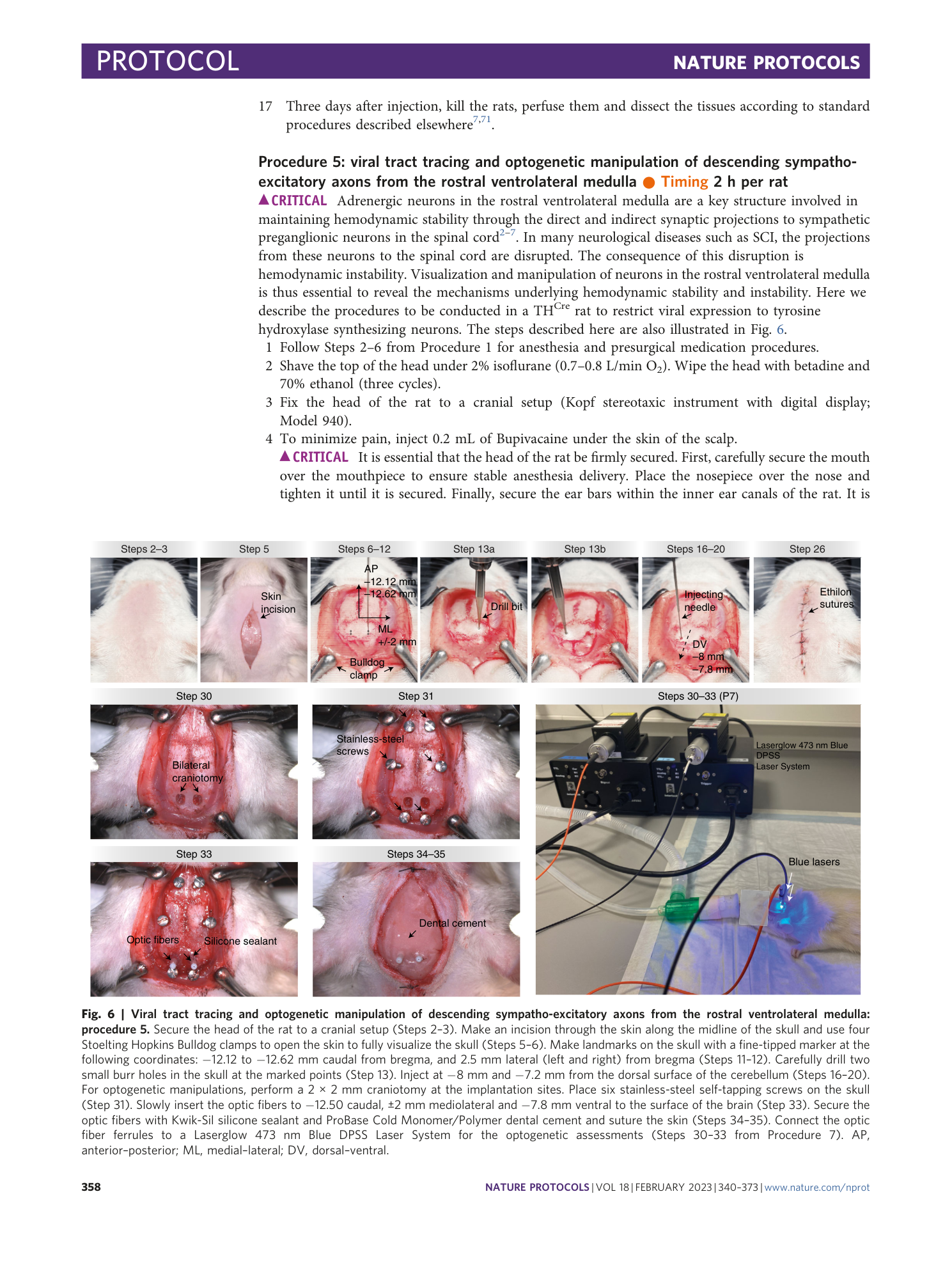 page-19