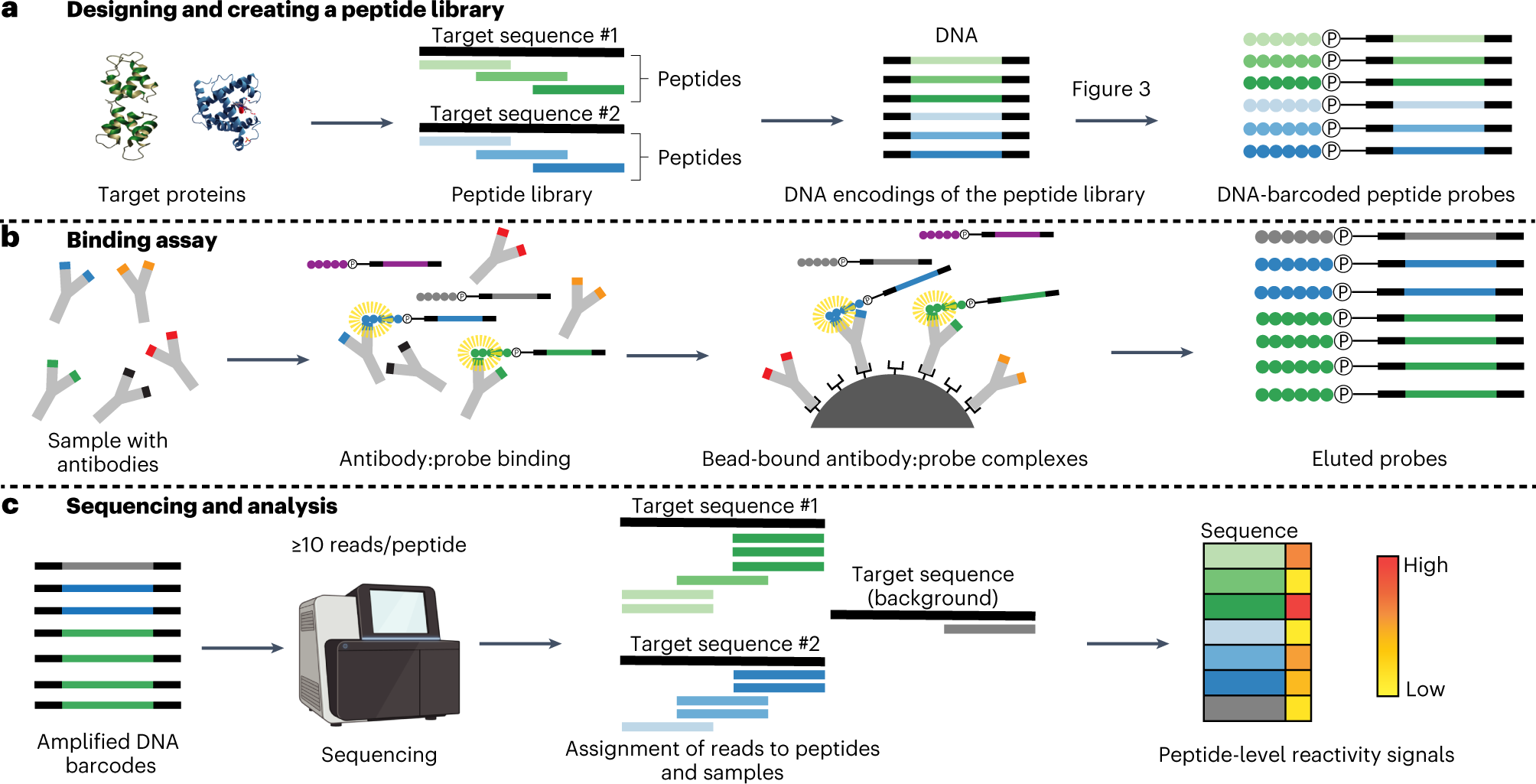 Fig. 1: Overview of protocol.