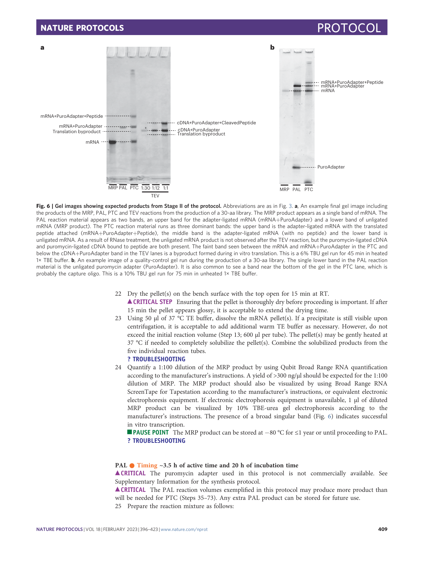 page-14