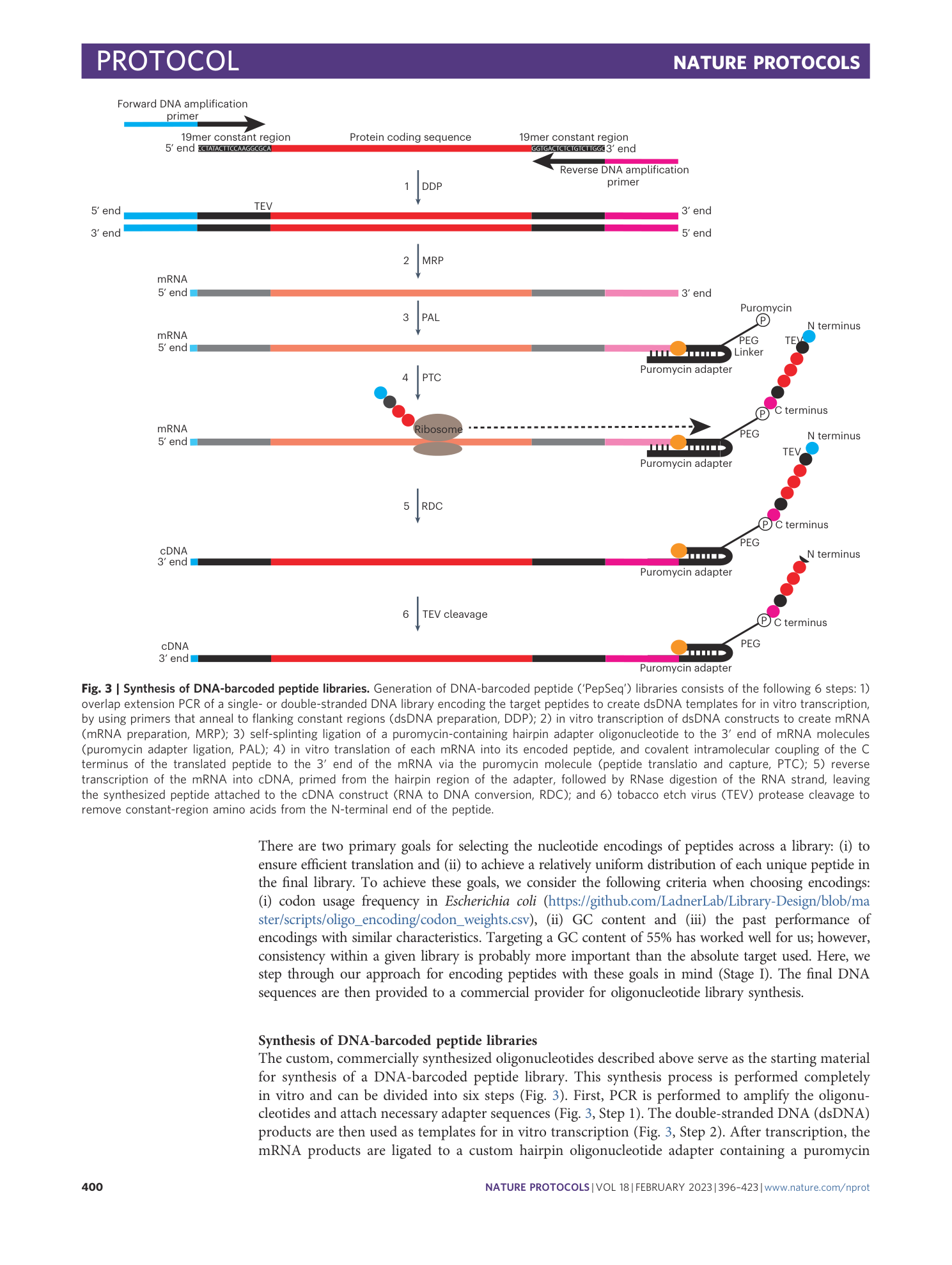 page-5