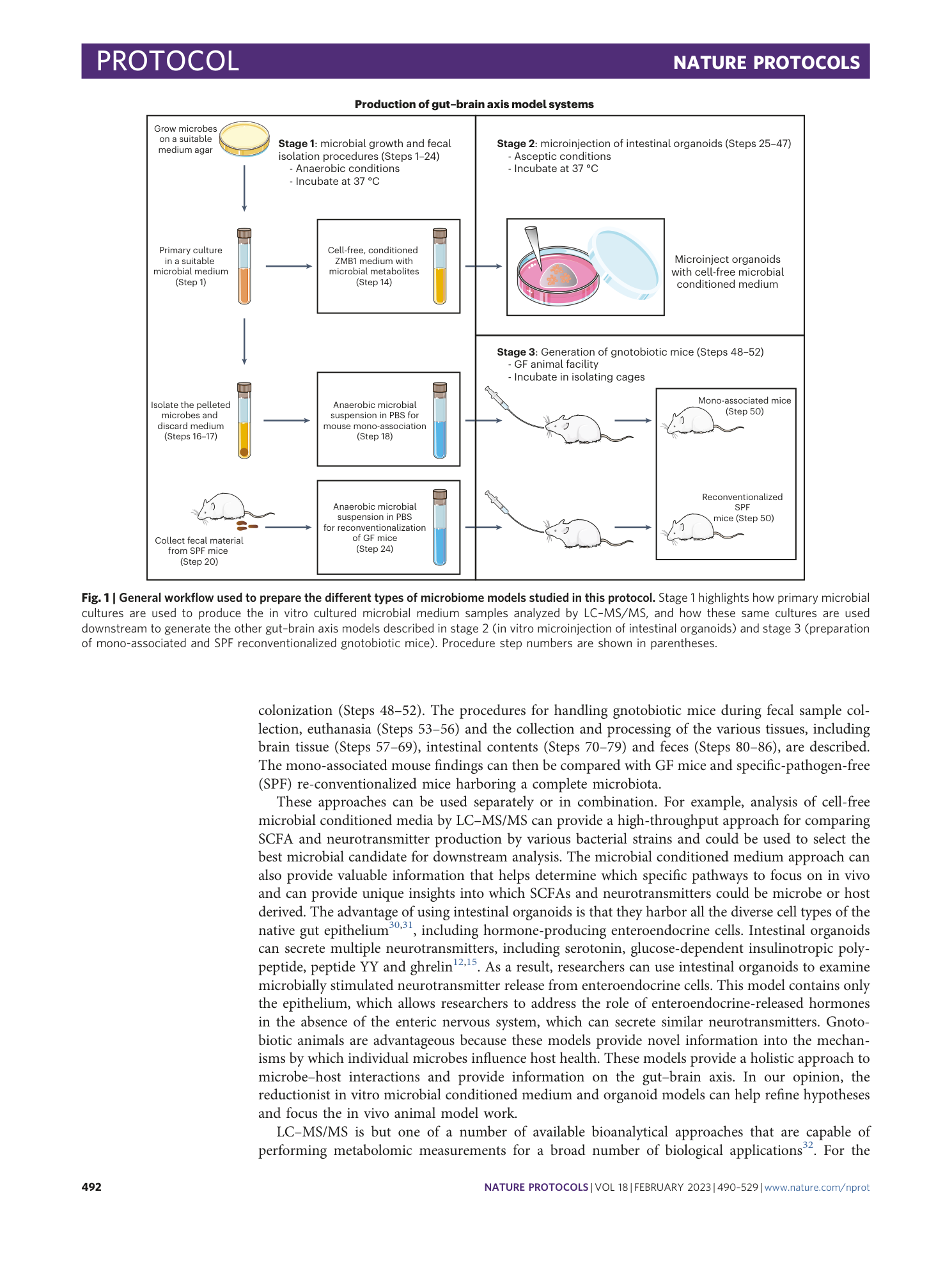 page-3