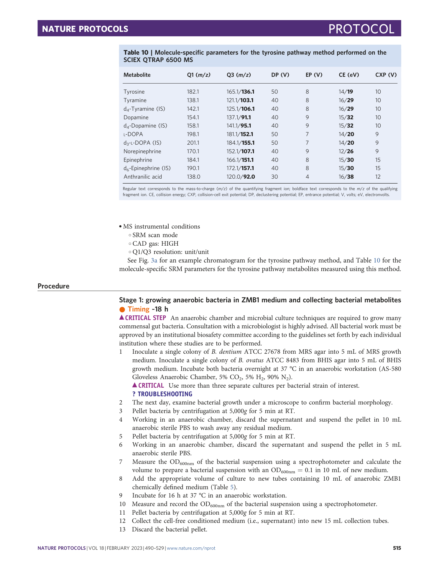 page-26