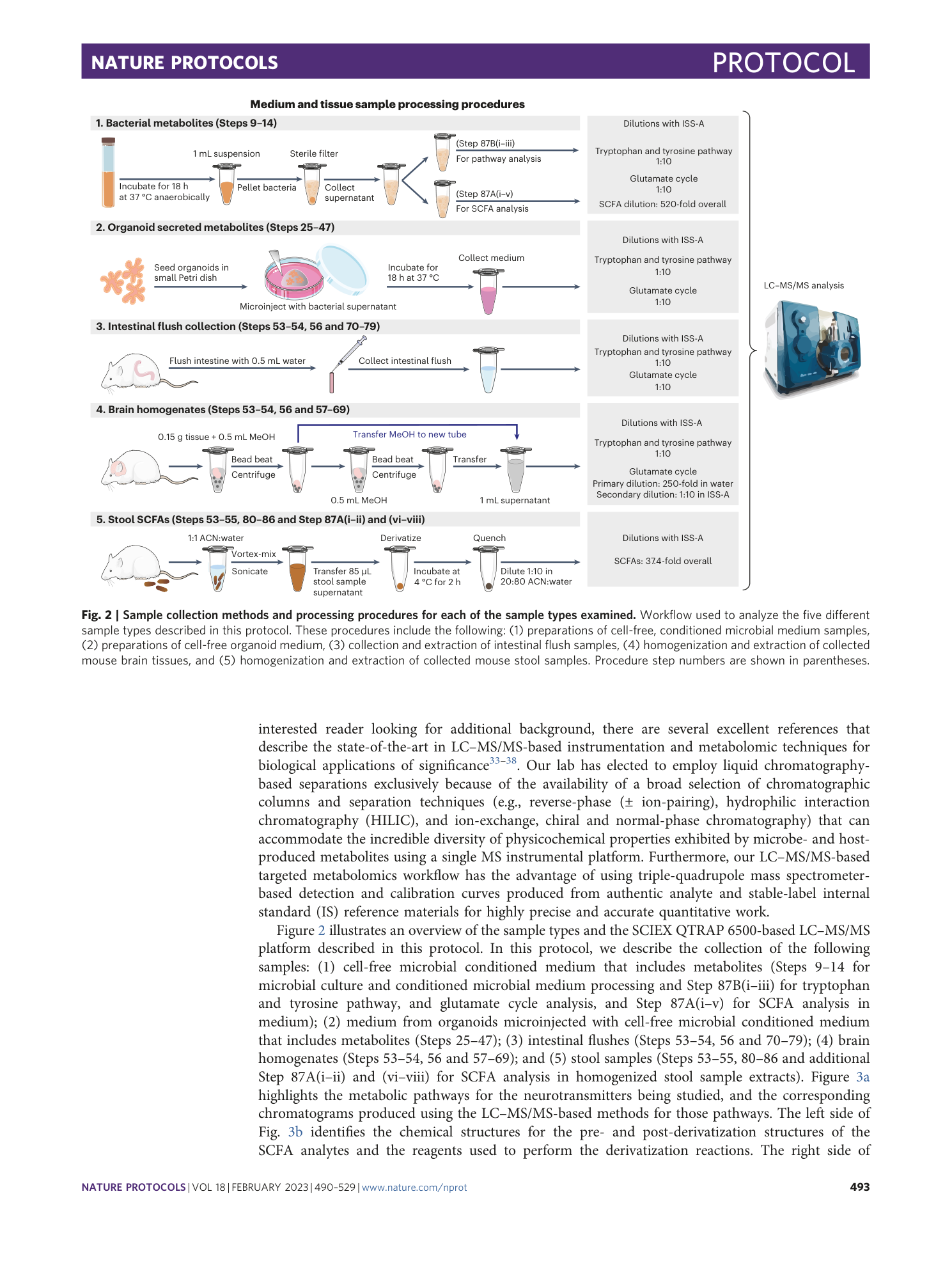 page-4