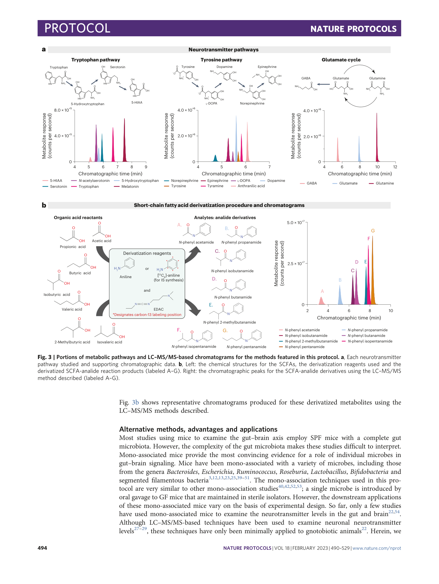 page-5