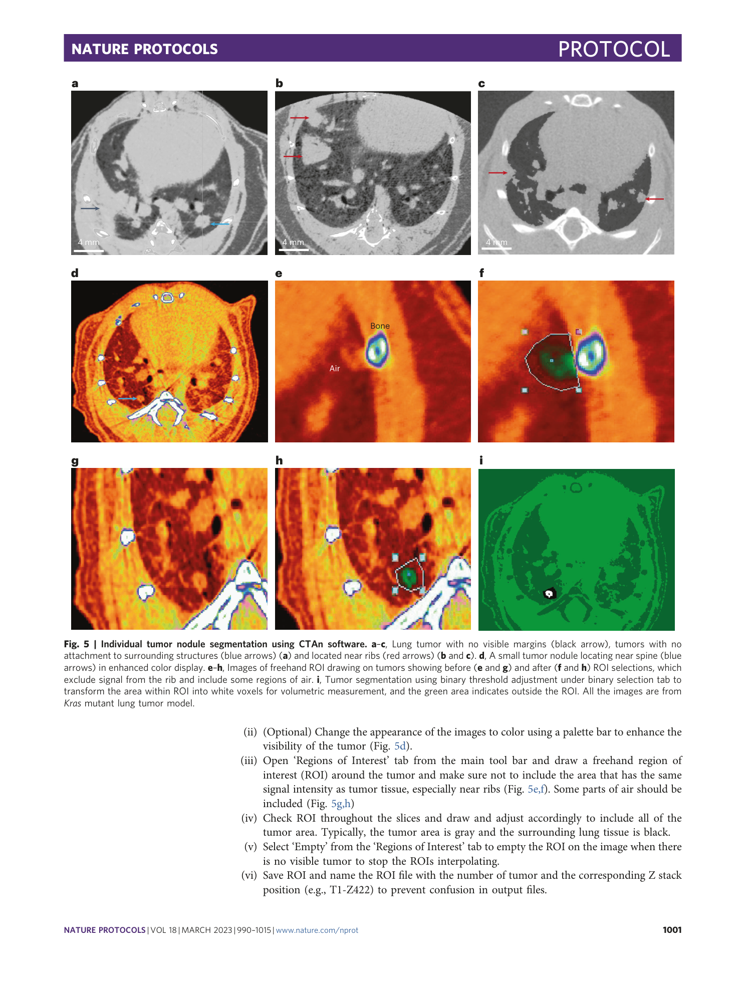 page-12