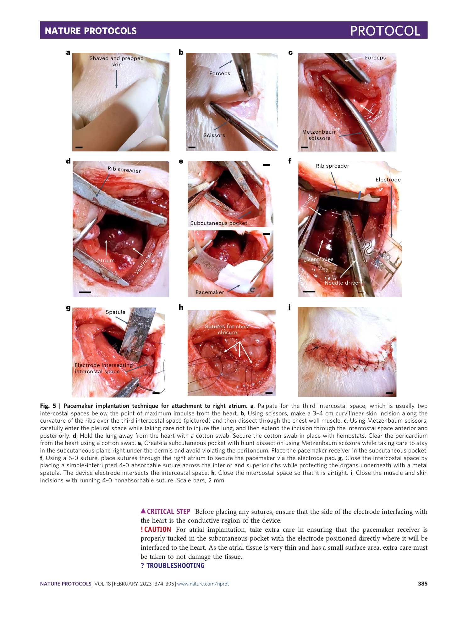 page-12