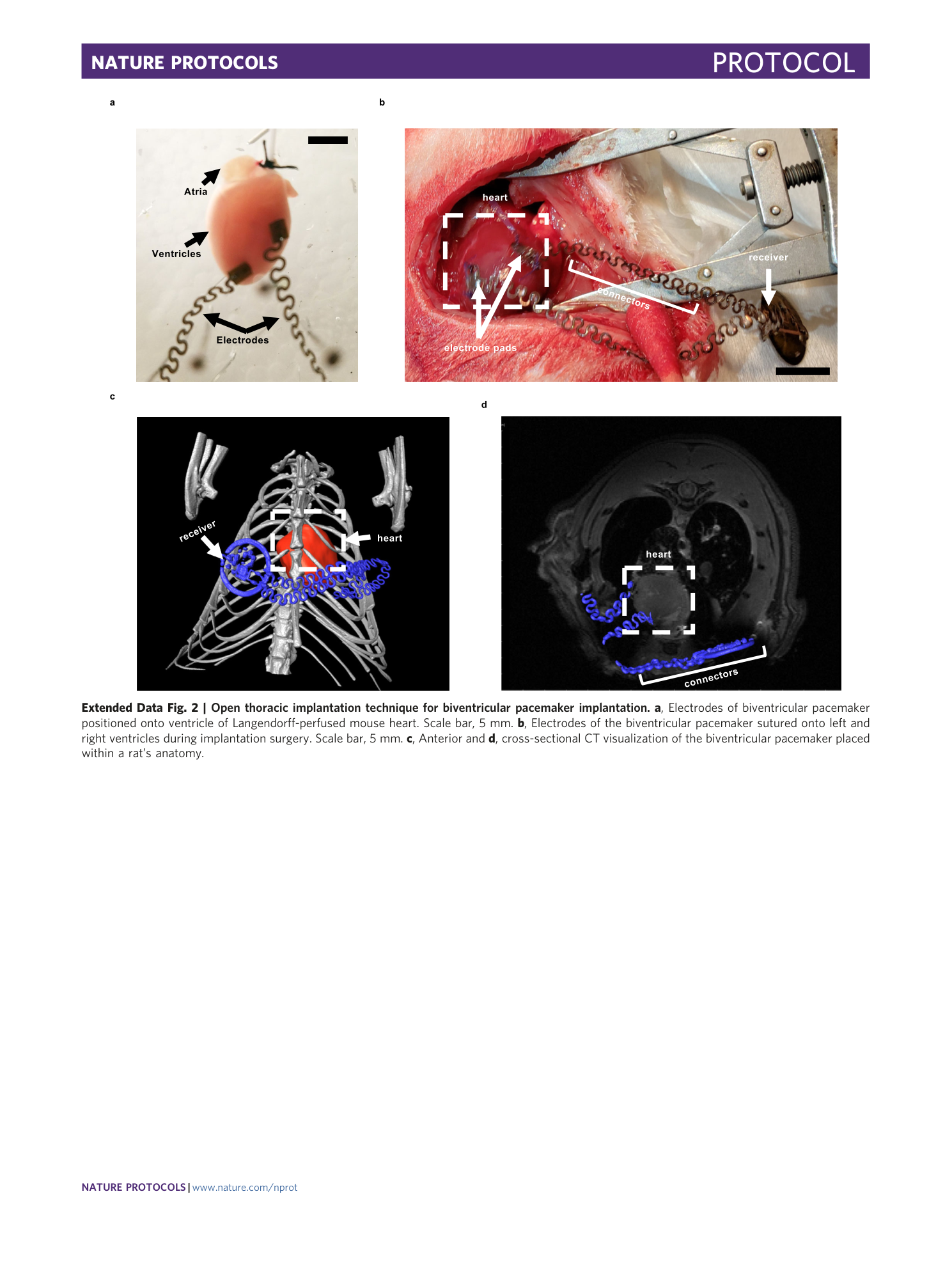 page-24