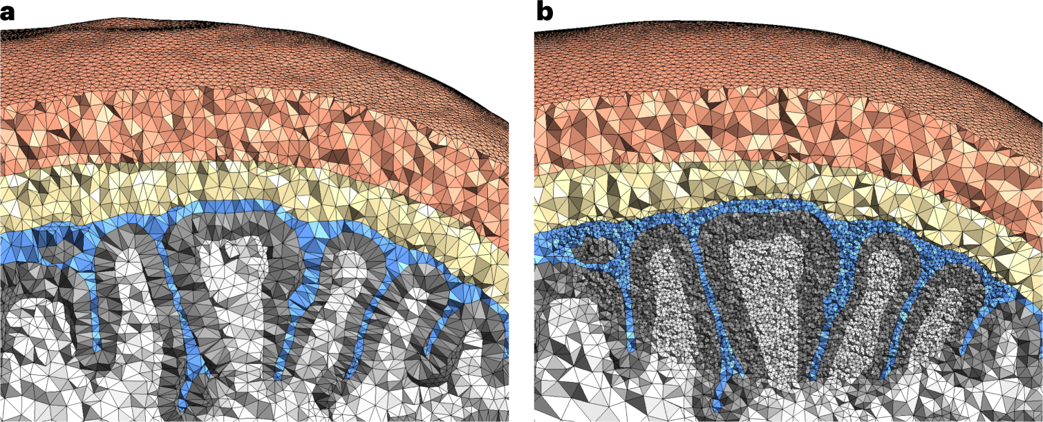 Fig. 10: Head models.