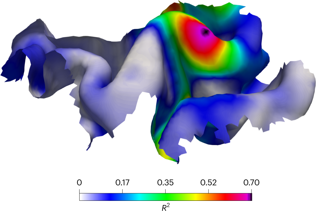 Fig. 15: The goodness-of-fit distribution identifies the cortical MEP origin.