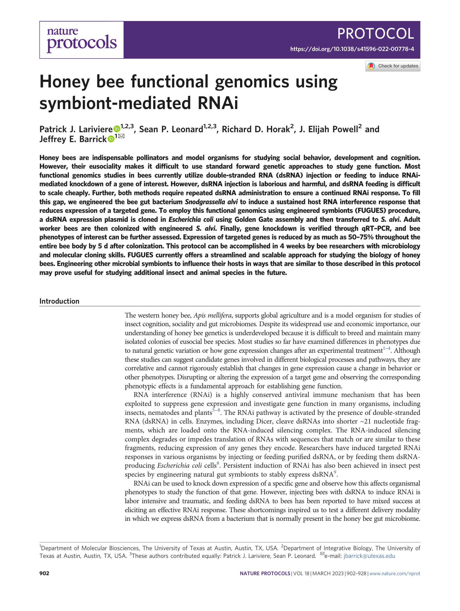 page-1