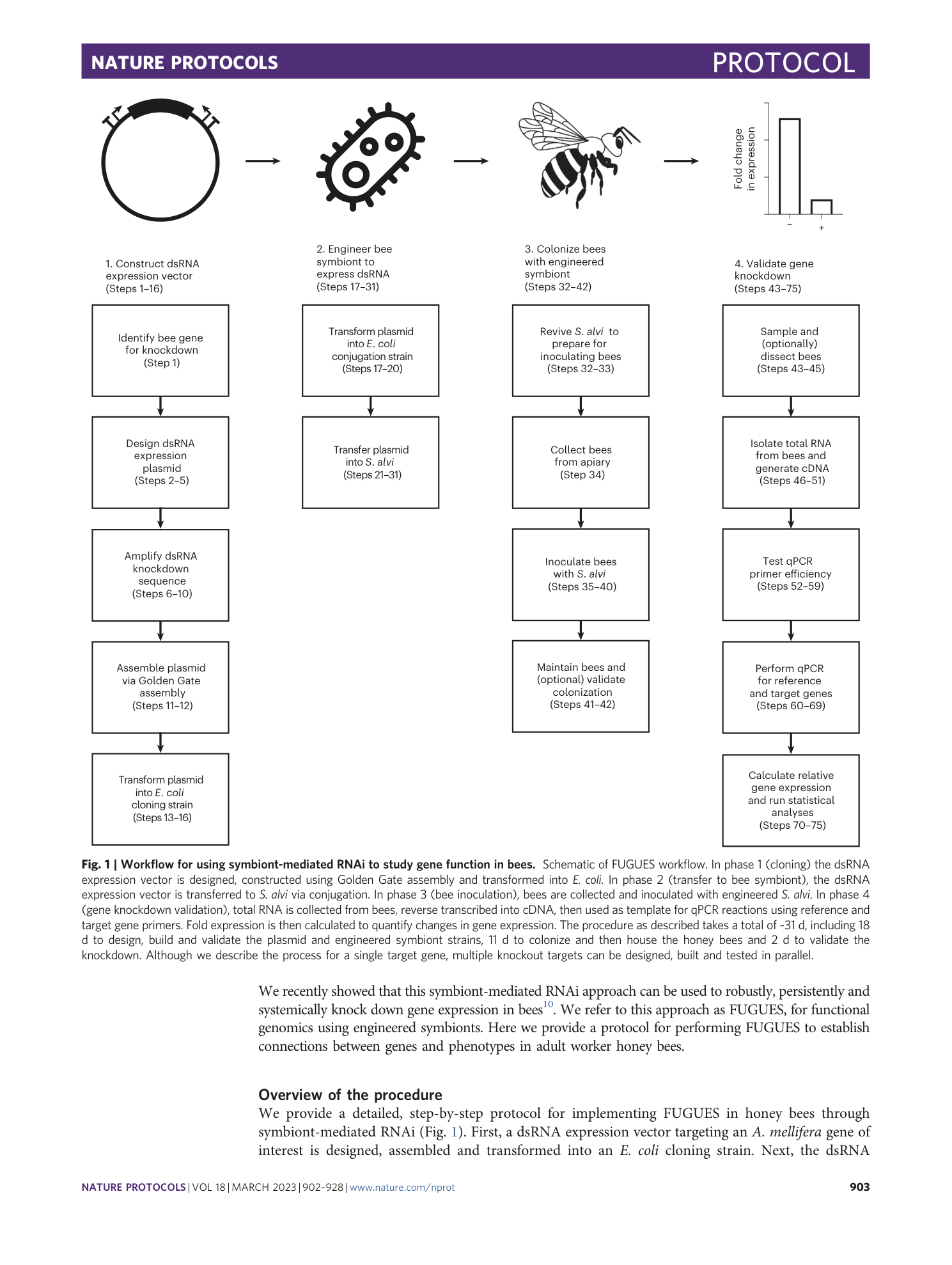 page-2