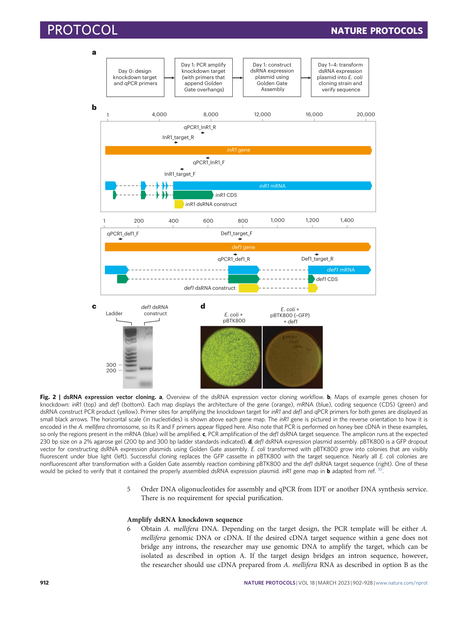 page-11