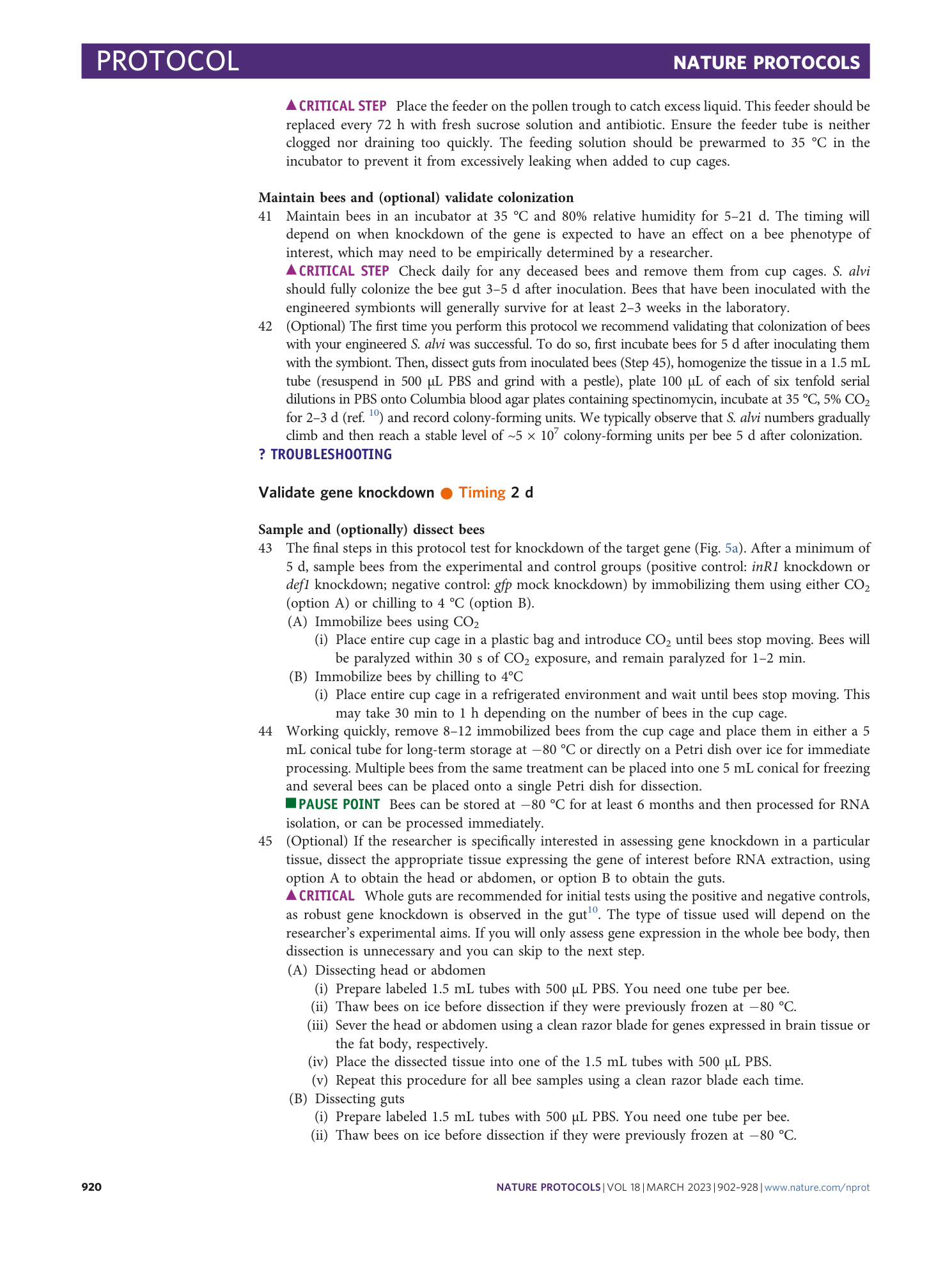 page-19