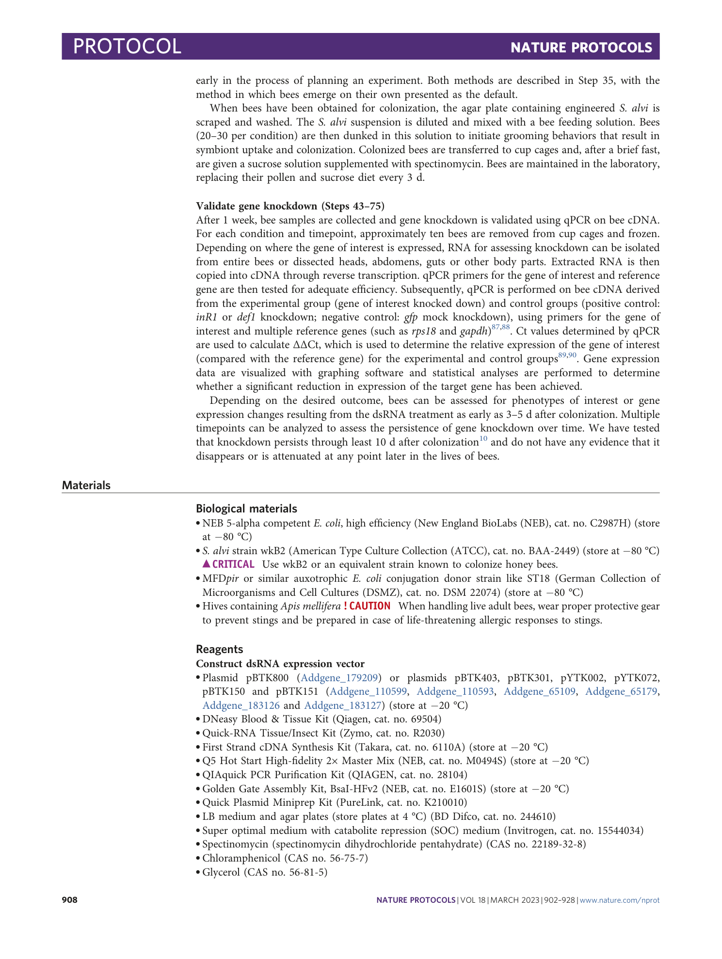 page-7