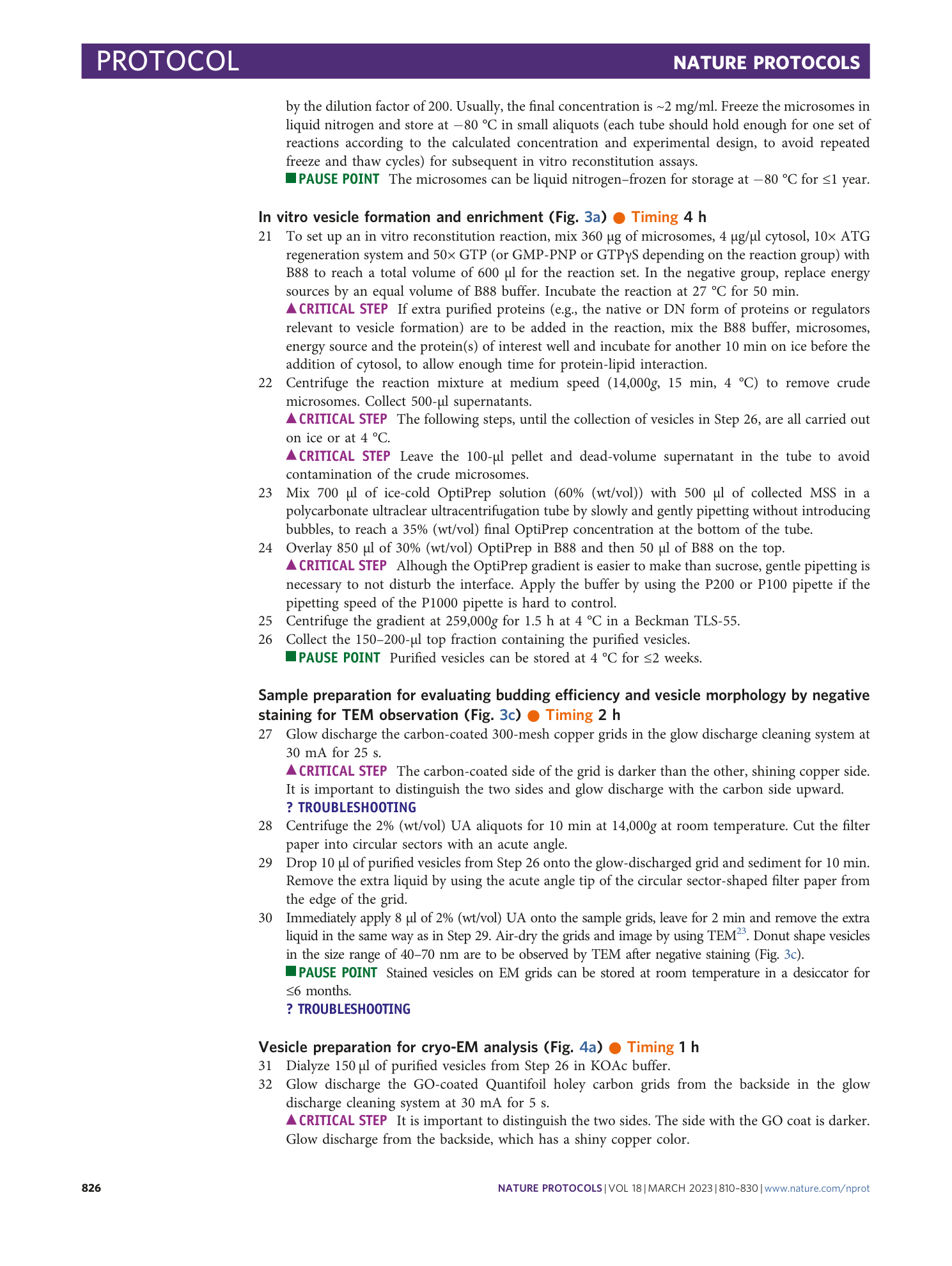 page-17