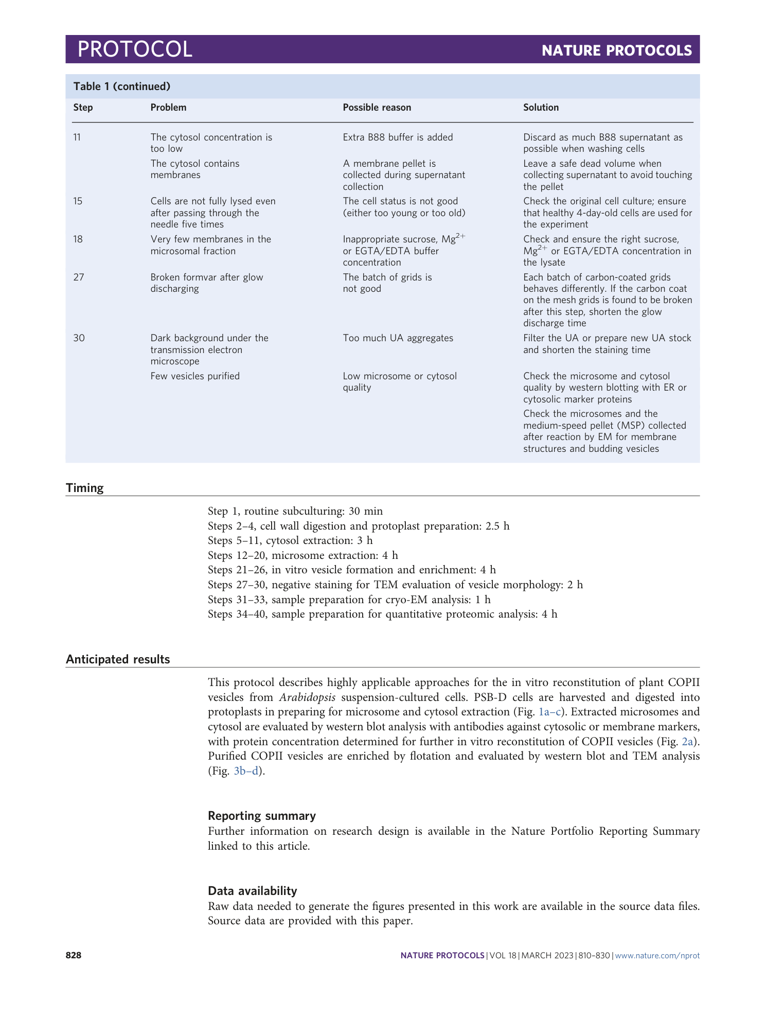 page-19