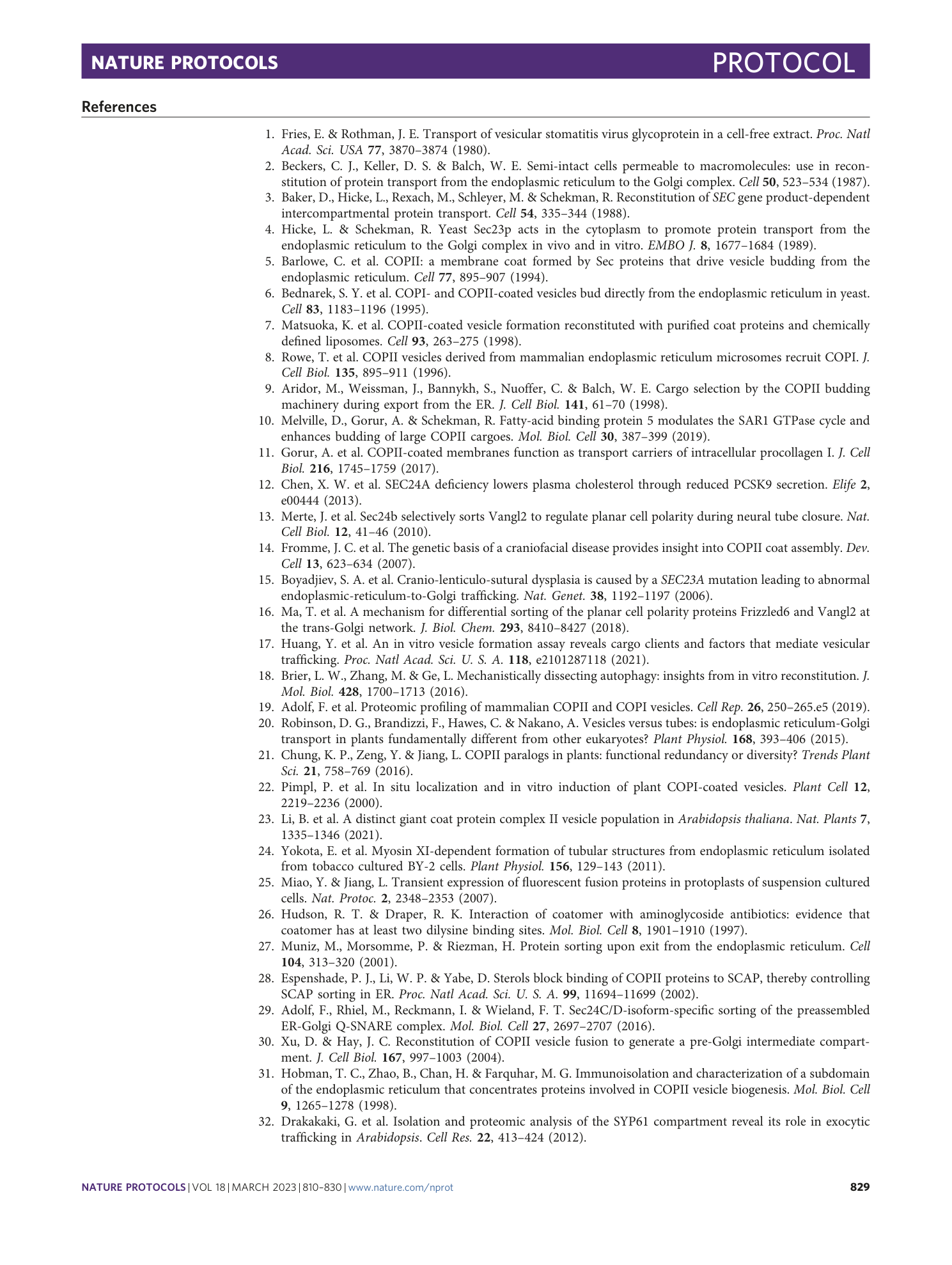 page-20
