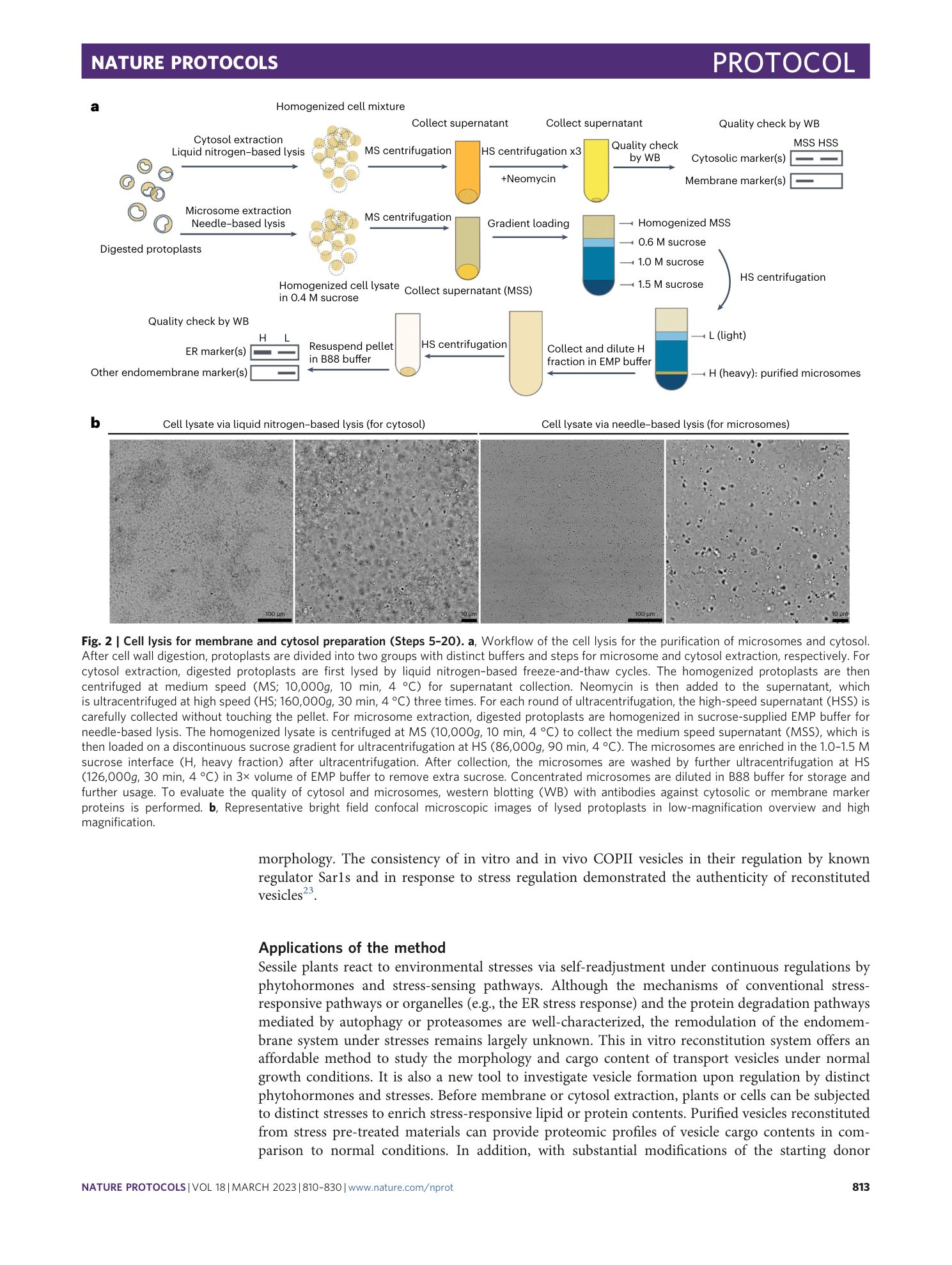 page-4